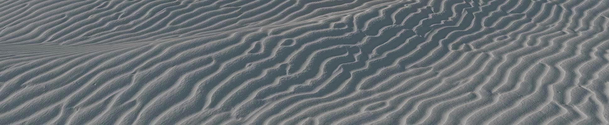 Discover the world of manufacturer WallPepper