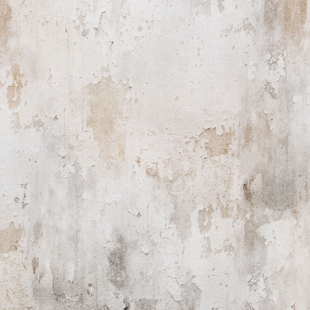 Mostrar el producto Tempo lento del fabricante WallPepper