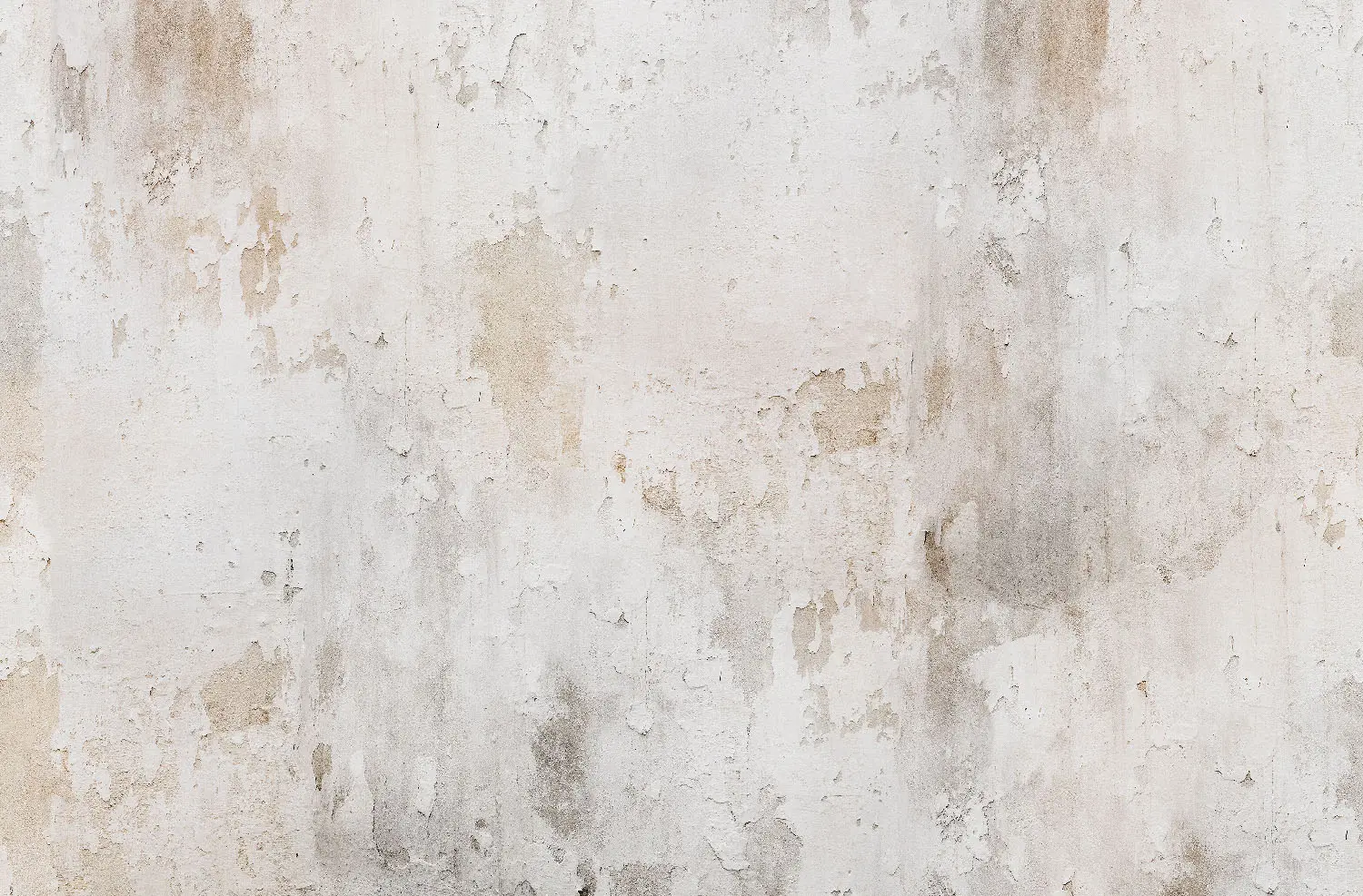 WallPepper - Tempo lento