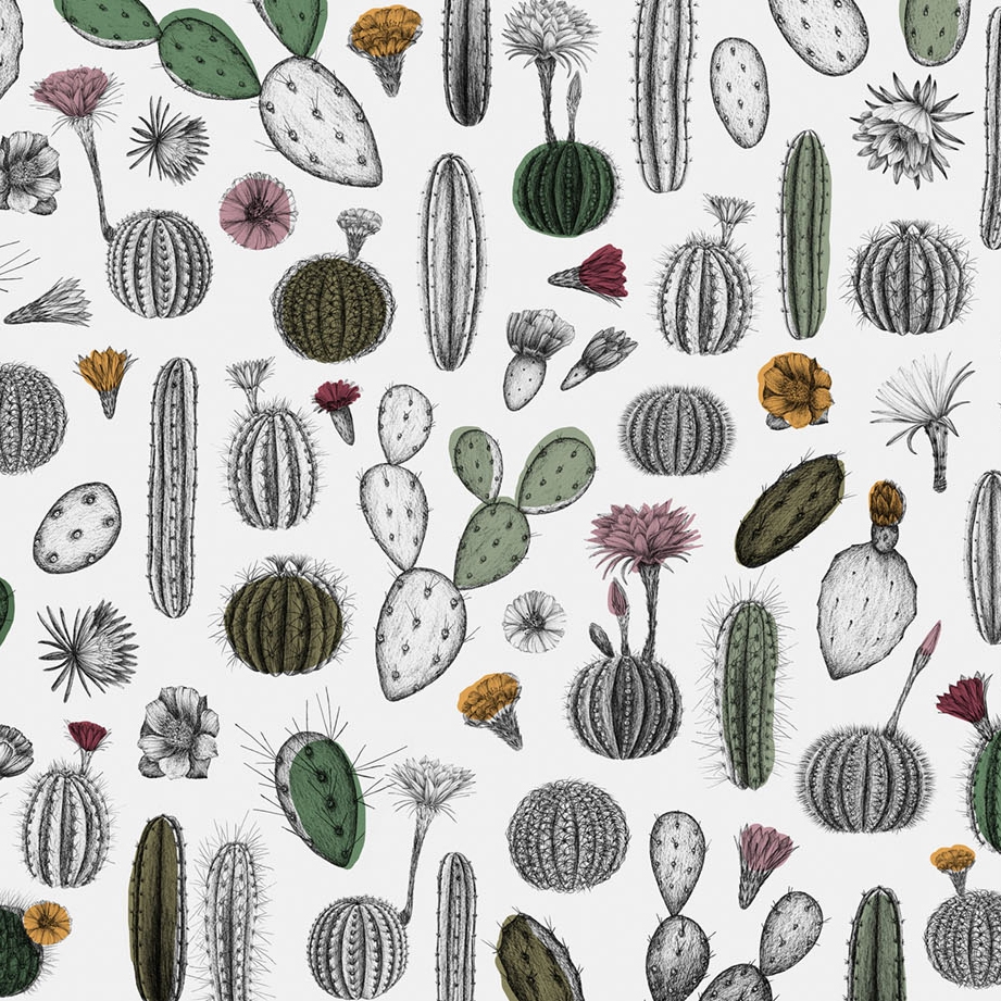 Mostrar el producto Cactofilia del fabricante WallPepper