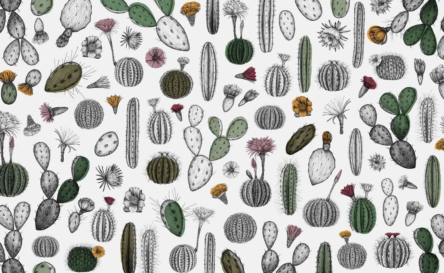WallPepper - Cactofilia