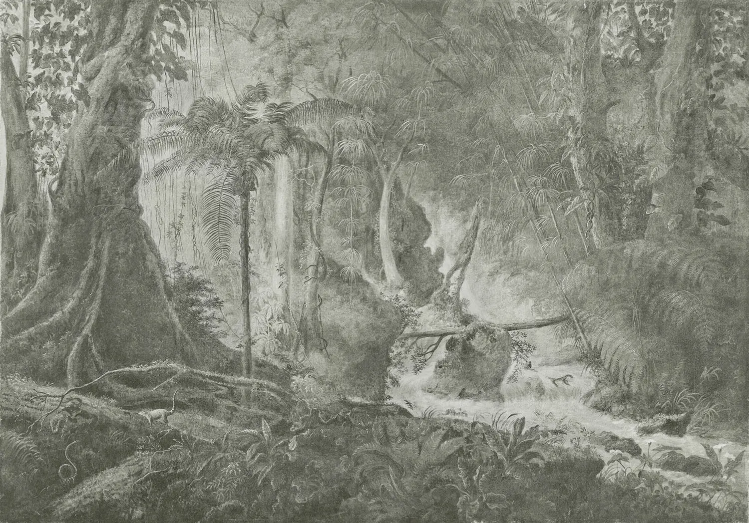 WallPepper - Rain forest