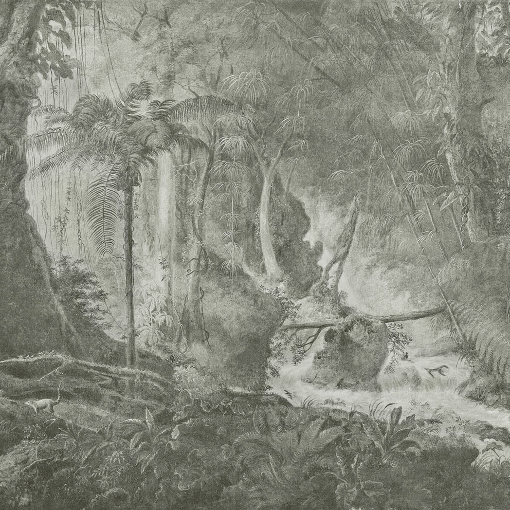Display product Rain forest from manufacturer WallPepper