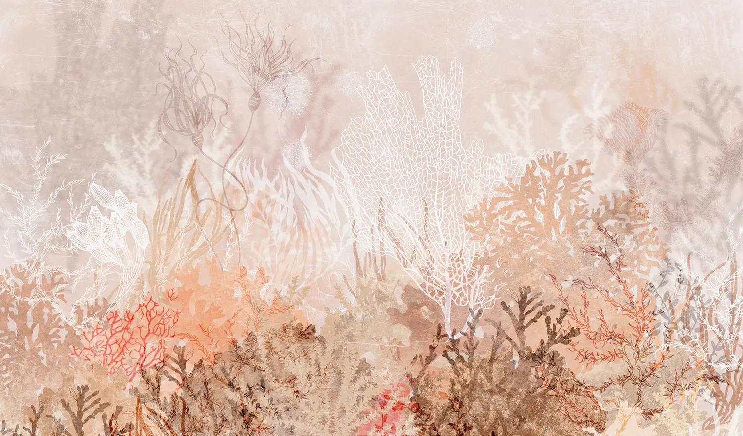 WallPepper - Anthozoa