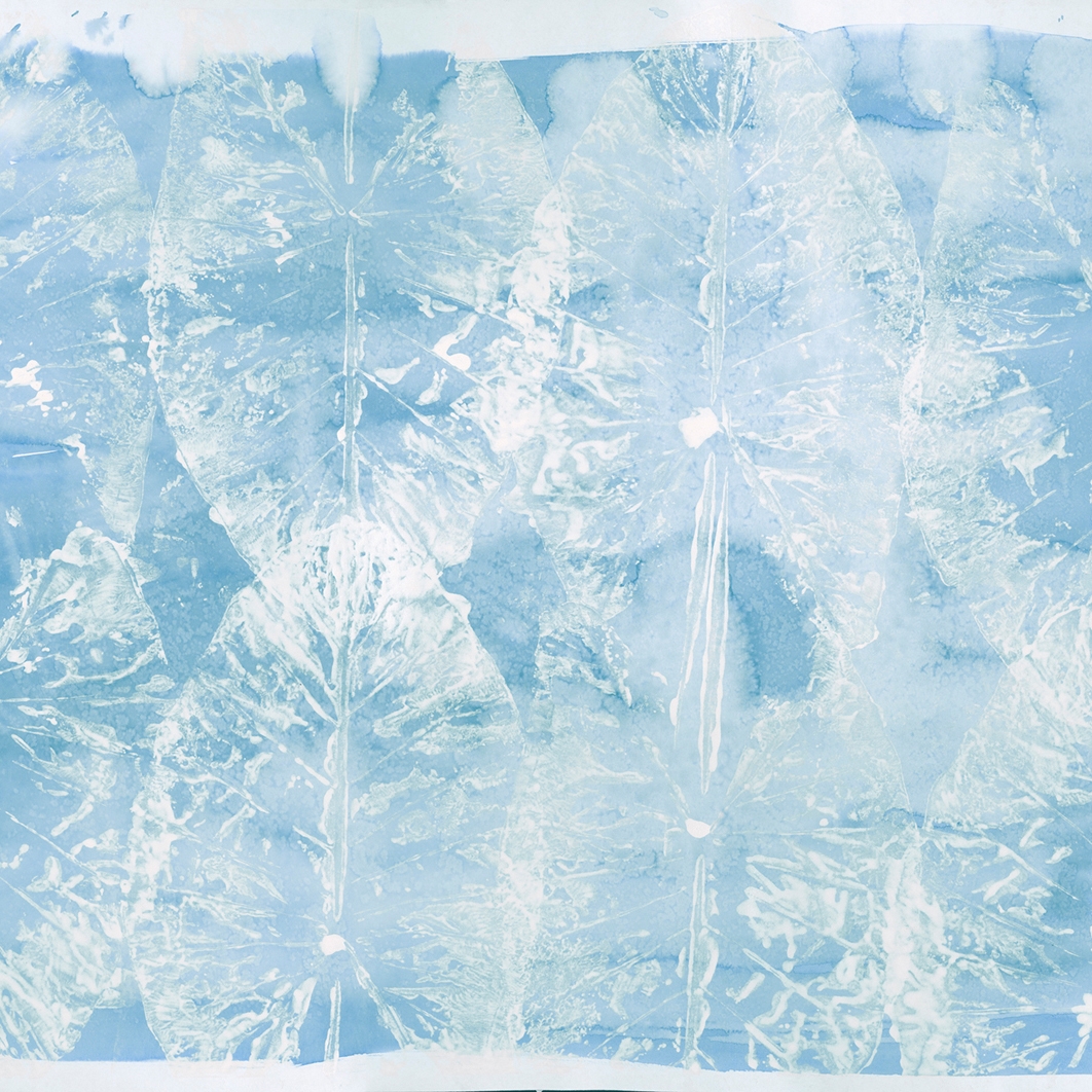 Mostra il prodotto Blue water del produttore WallPepper