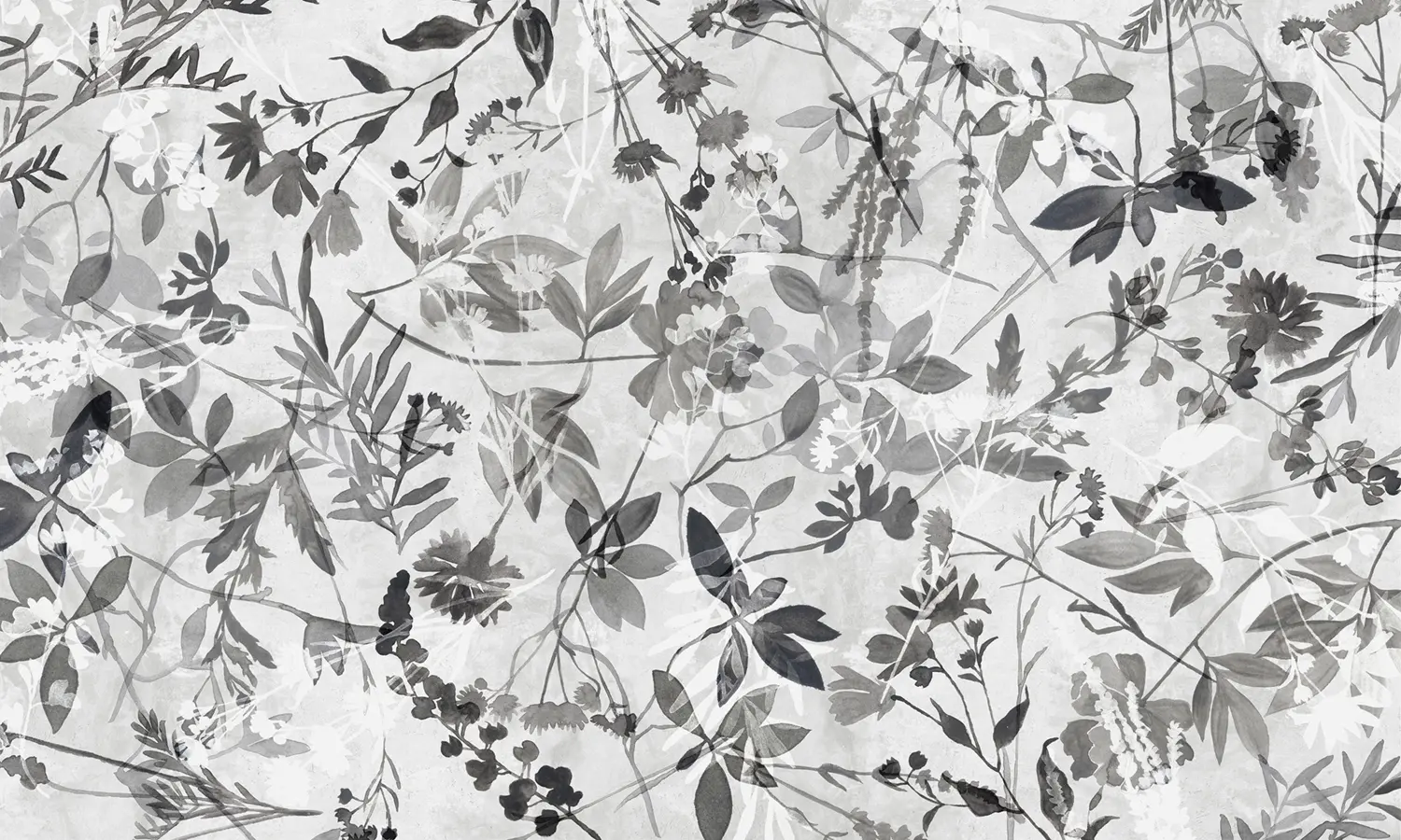 WallPepper - Fotogrammi