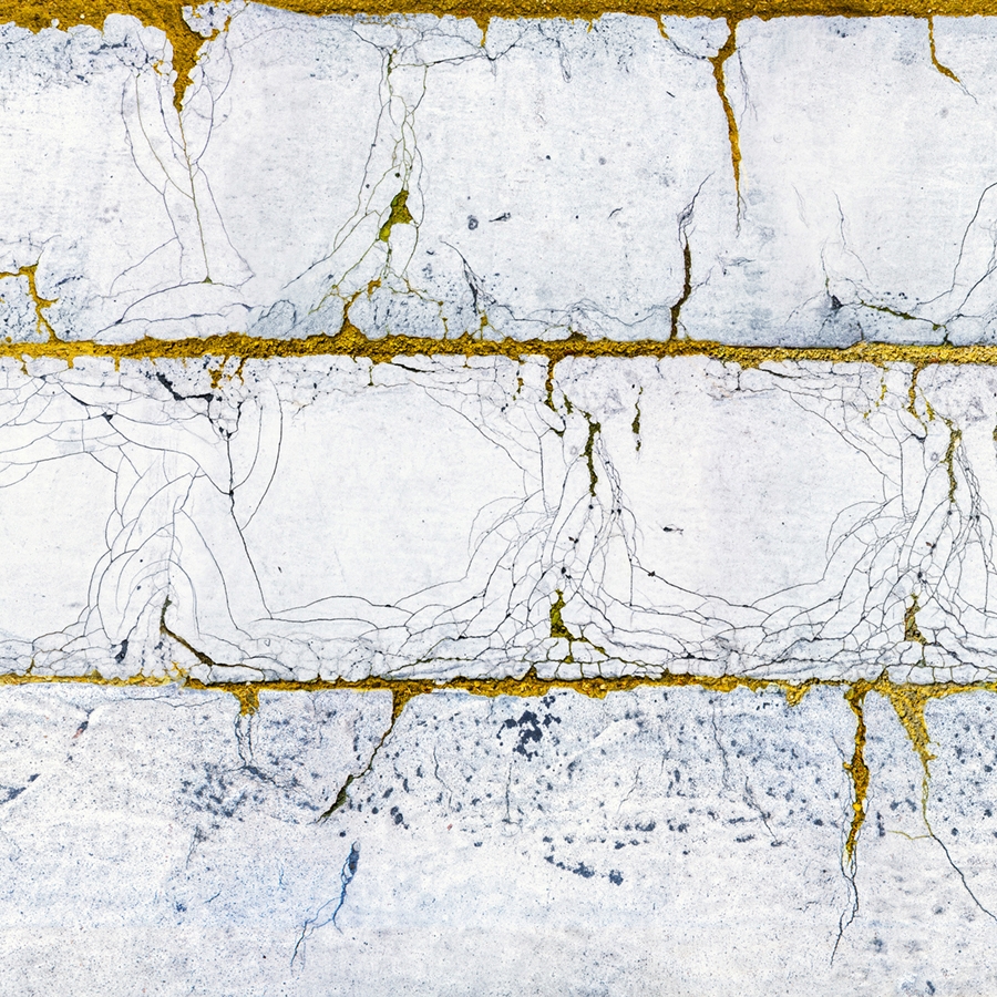 Mostra il prodotto Kintsugi del produttore WallPepper