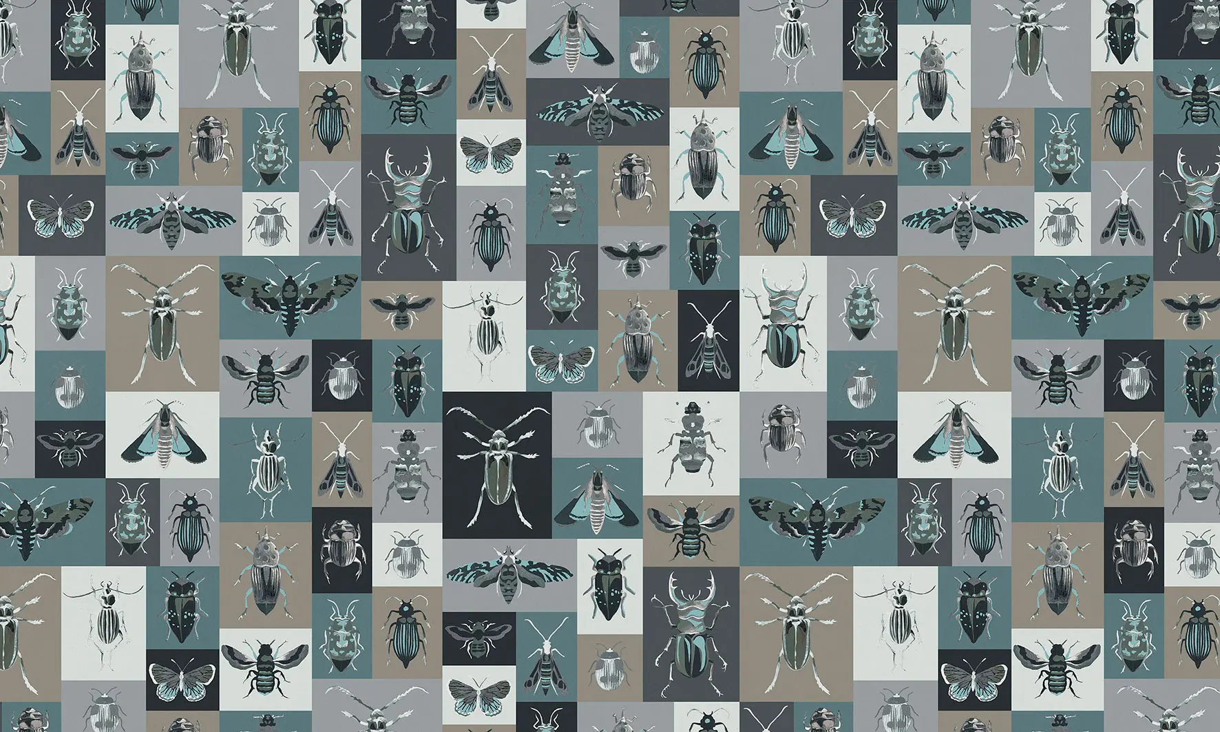WallPepper - Bugs