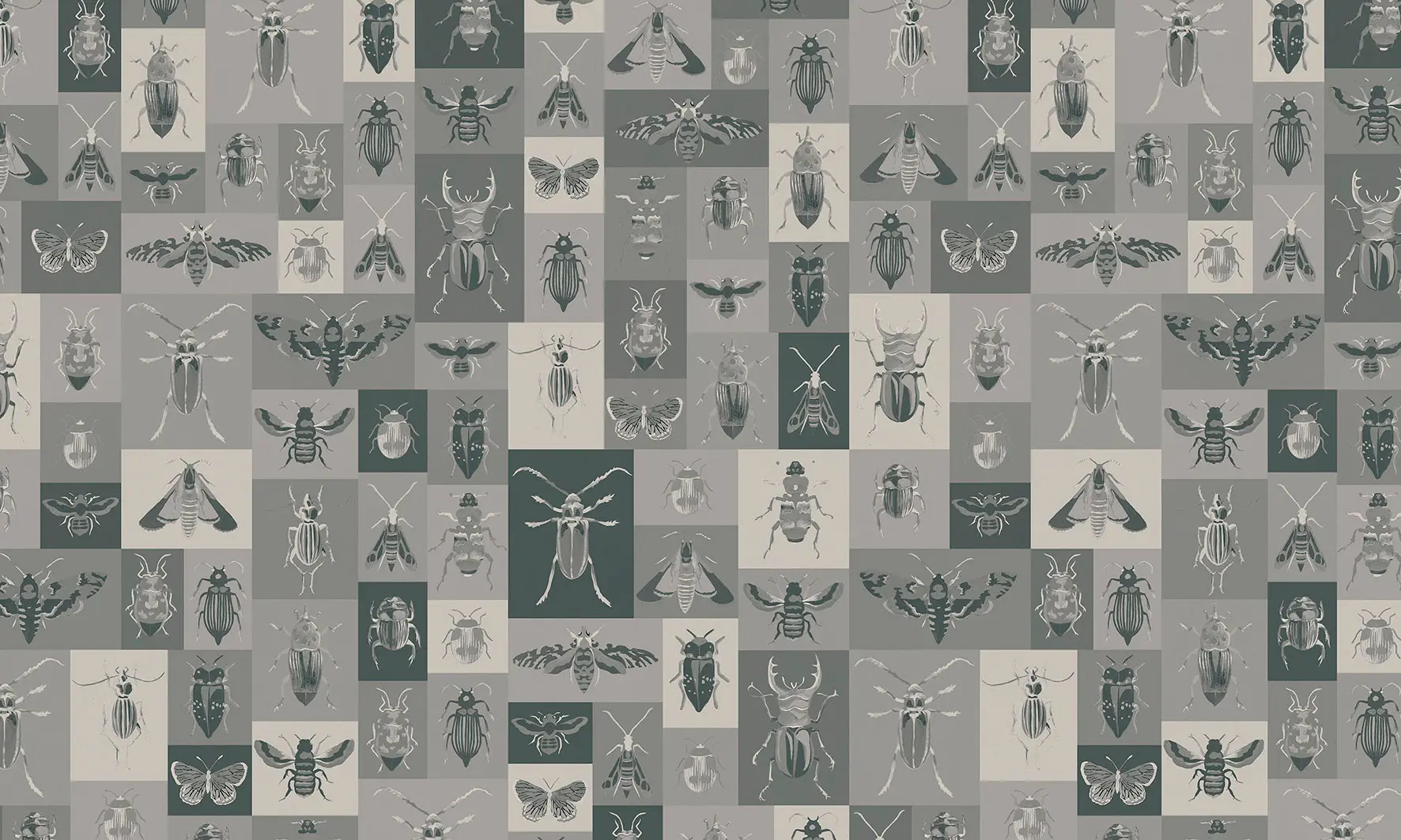 WallPepper - Bugs