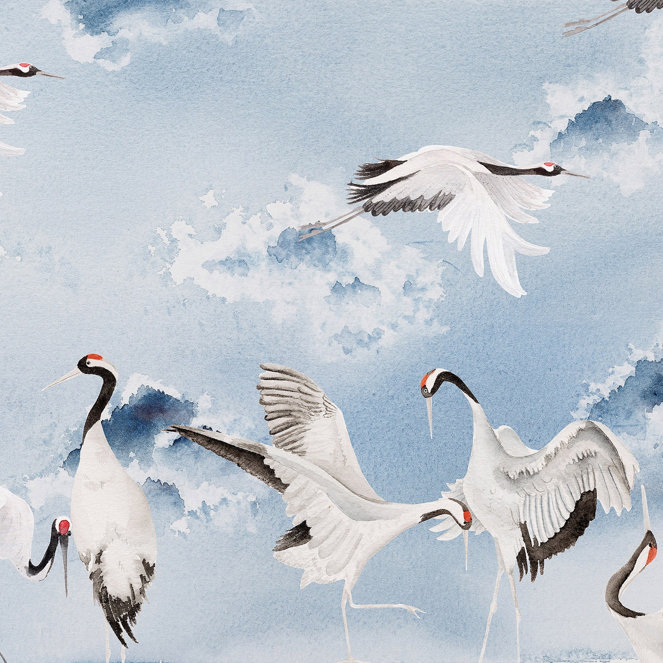 Mostra il prodotto Dancing cranes del produttore WallPepper