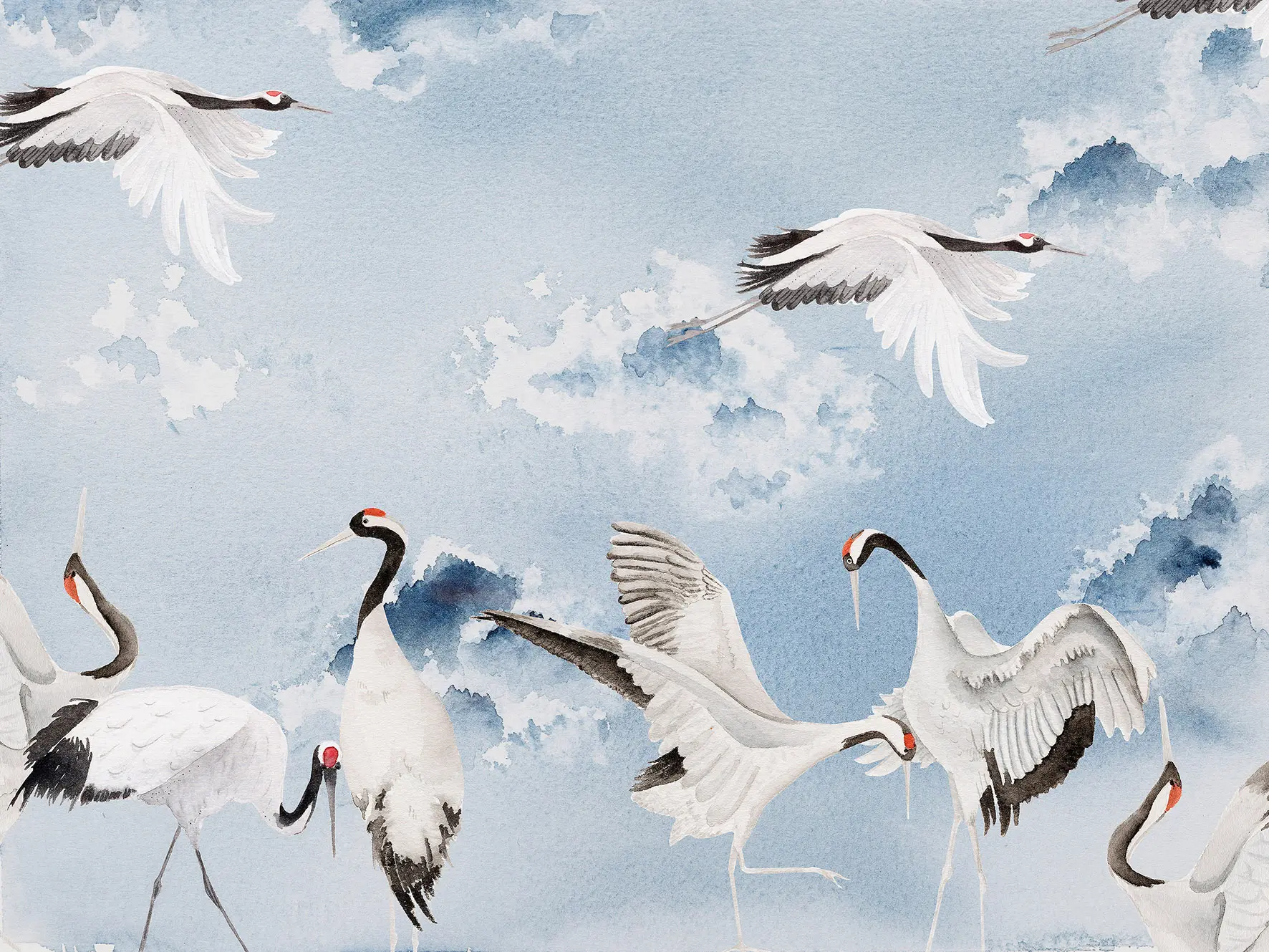 WallPepper - Dancing cranes