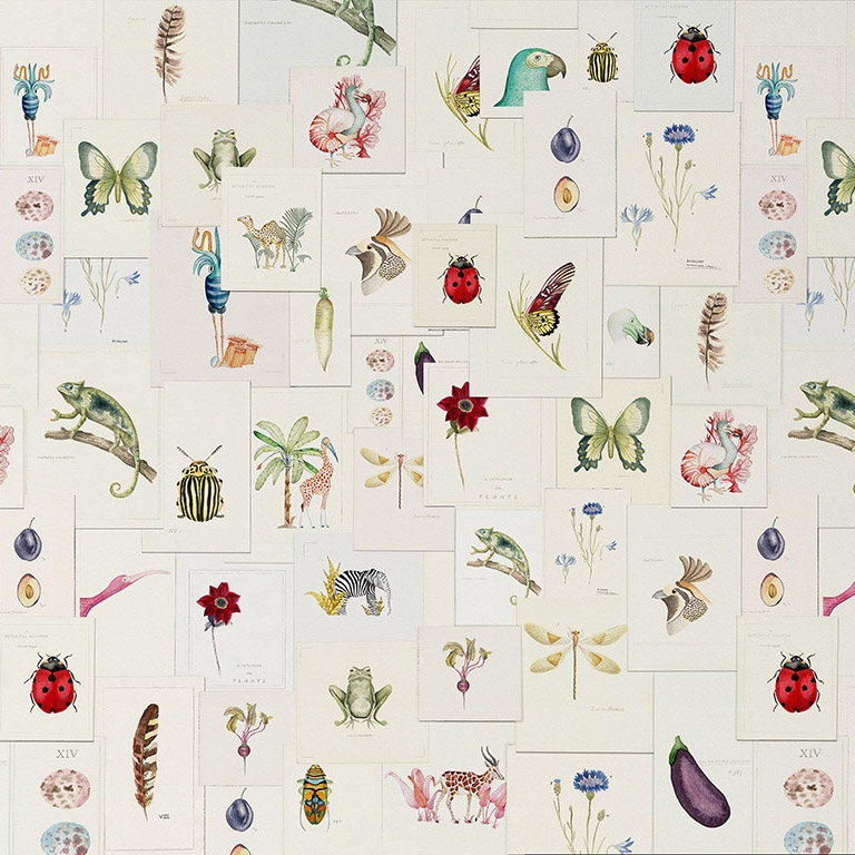 Mostra il prodotto Pictionary del produttore WallPepper