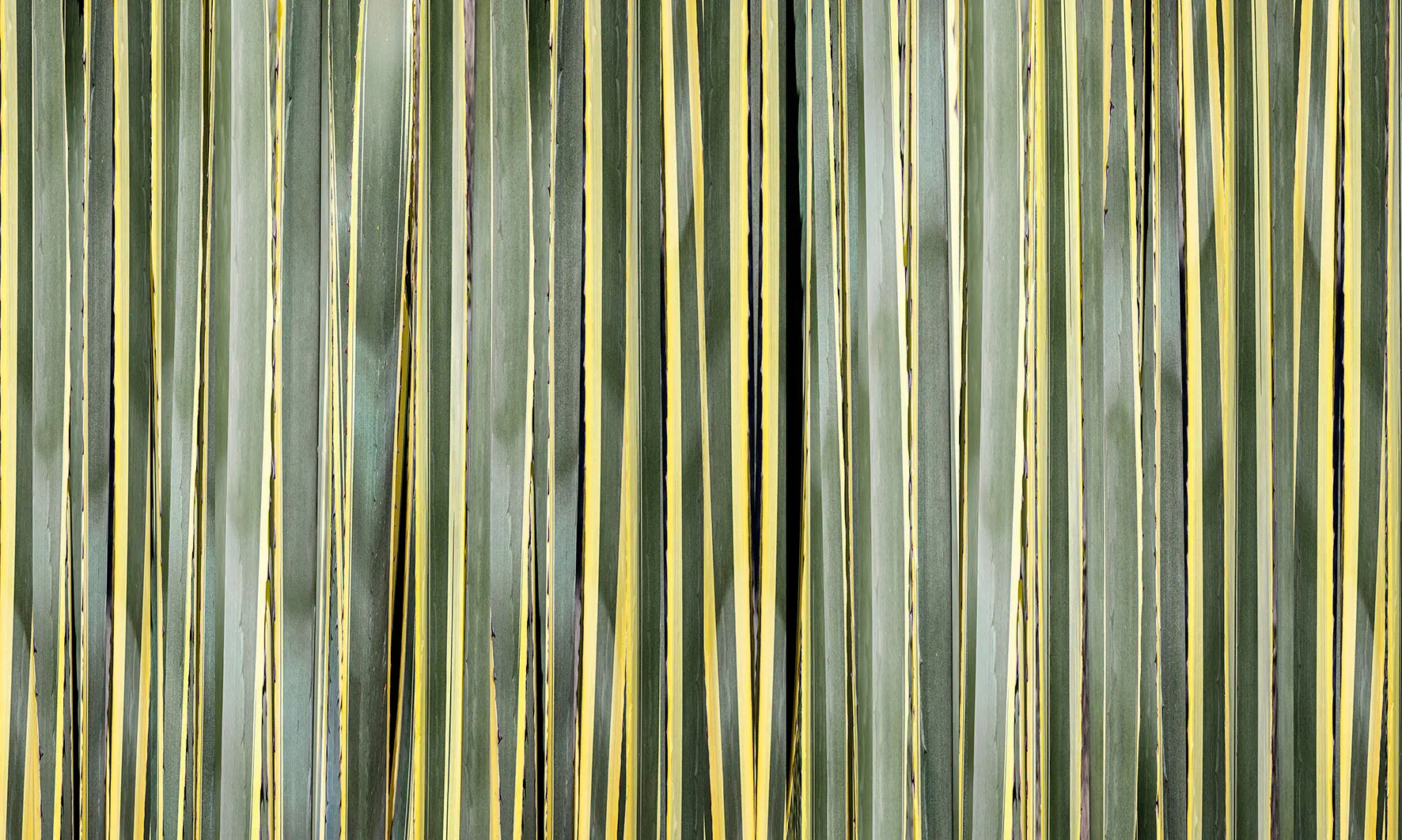 WallPepper - Stripes