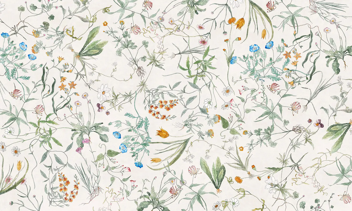 WallPepper - Erbario