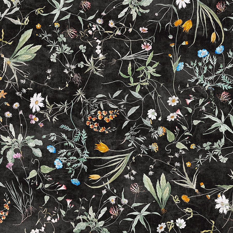 Erbario