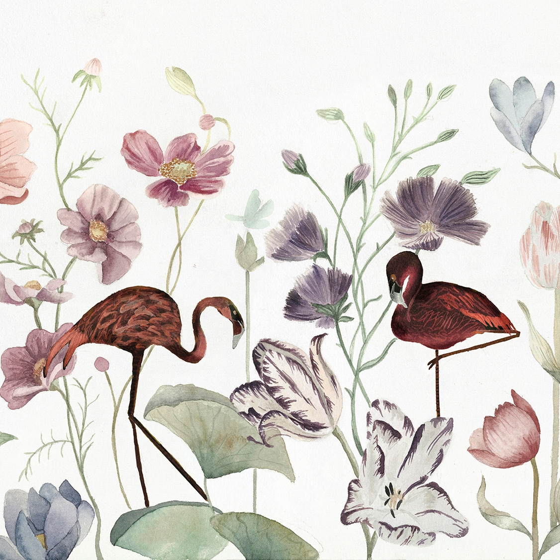 Wonderland
