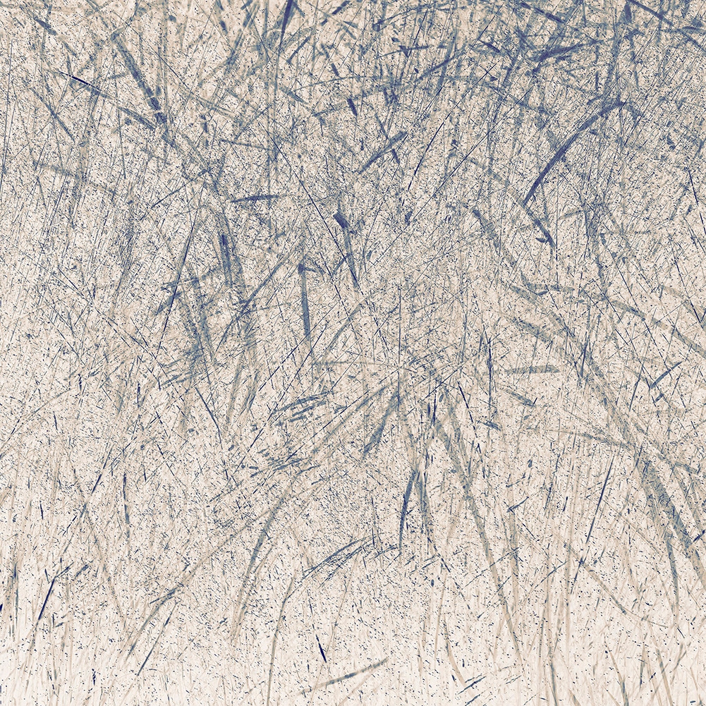 Mostra il prodotto Blades del produttore WallPepper