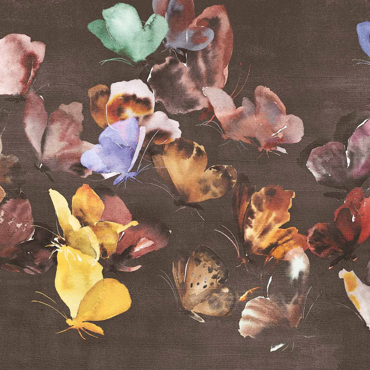 Display product Butterflower from manufacturer WallPepper