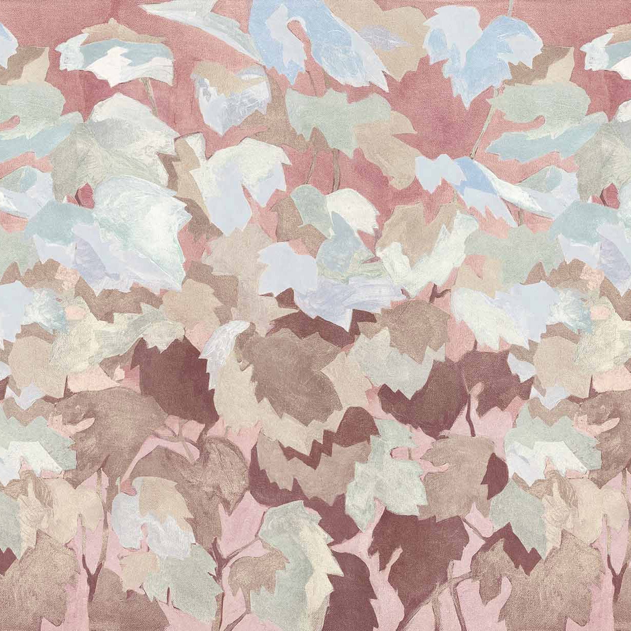 Vinifera