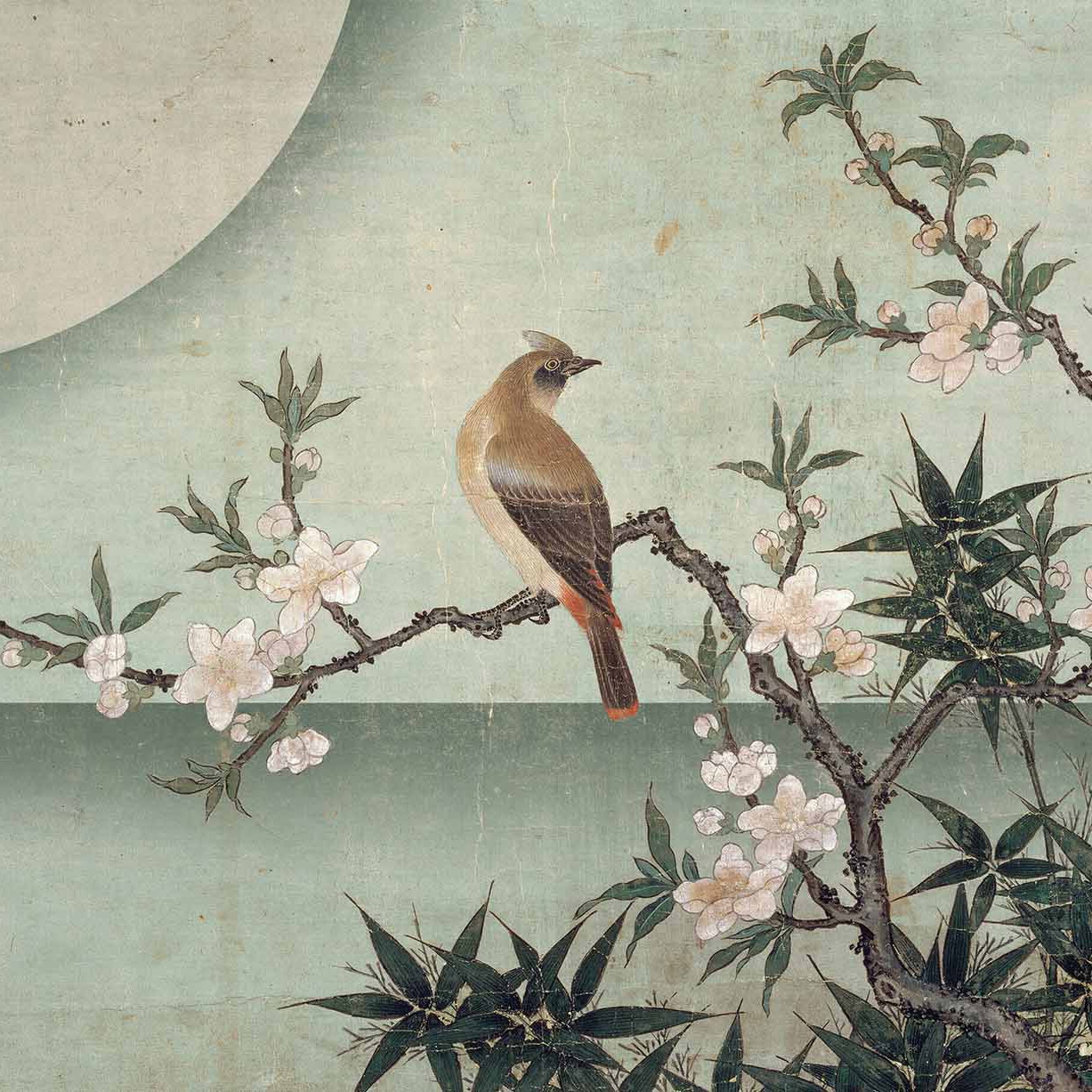 Display product Bird on peach blossom from manufacturer WallPepper