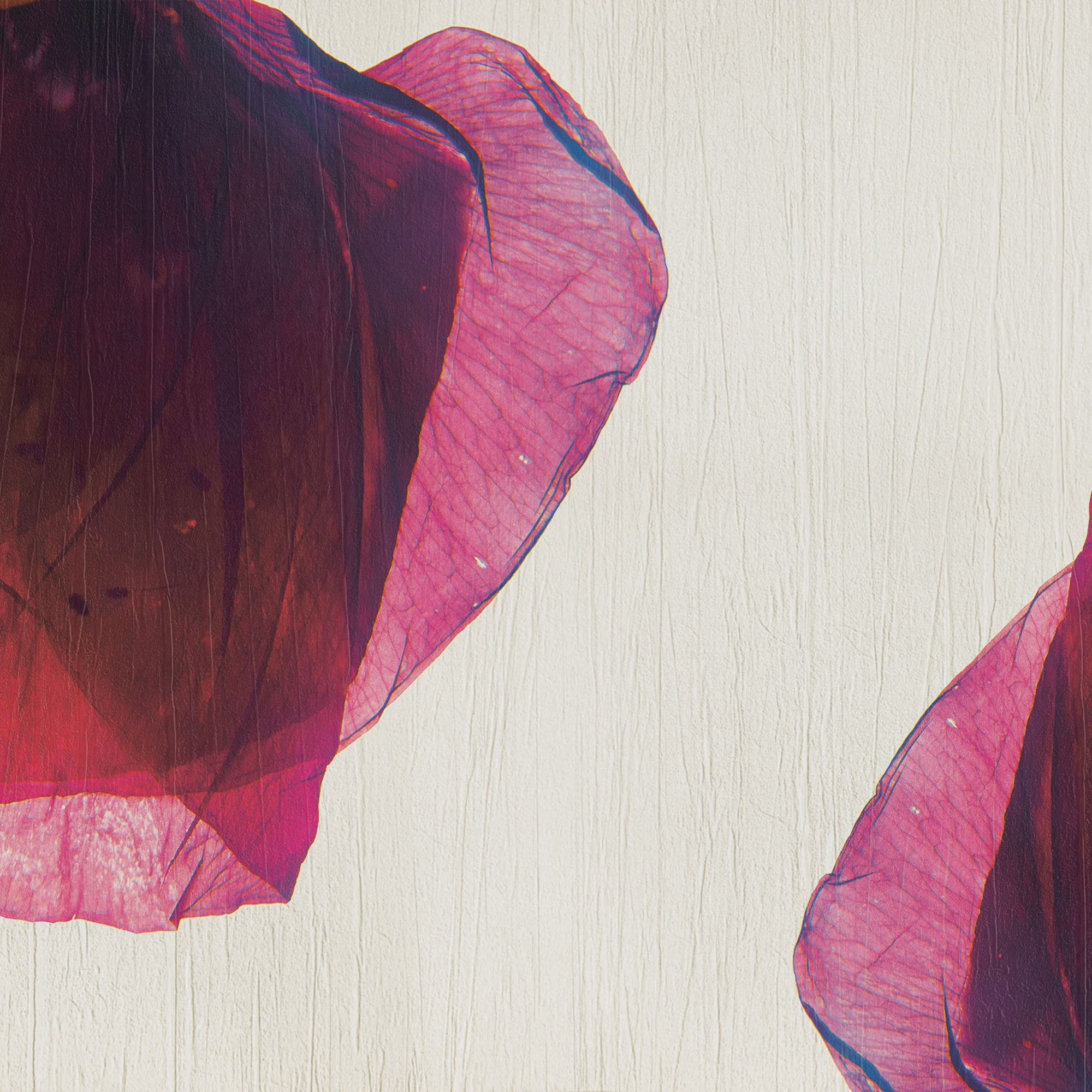 Afficher le produit petals | rossa du fabricant N.O.W. Edizioni