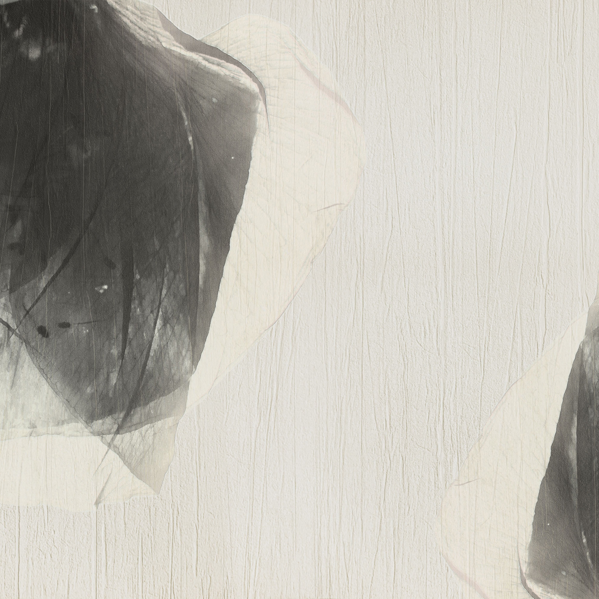 petals | rossa