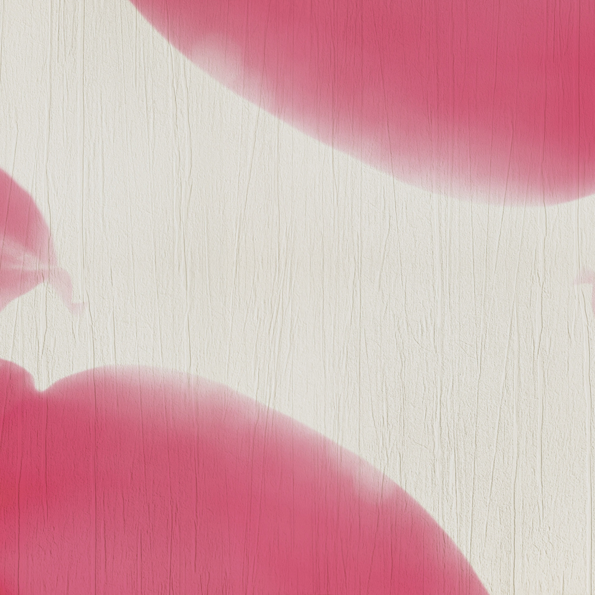 Afficher le produit petals | anemone du fabricant N.O.W. Edizioni