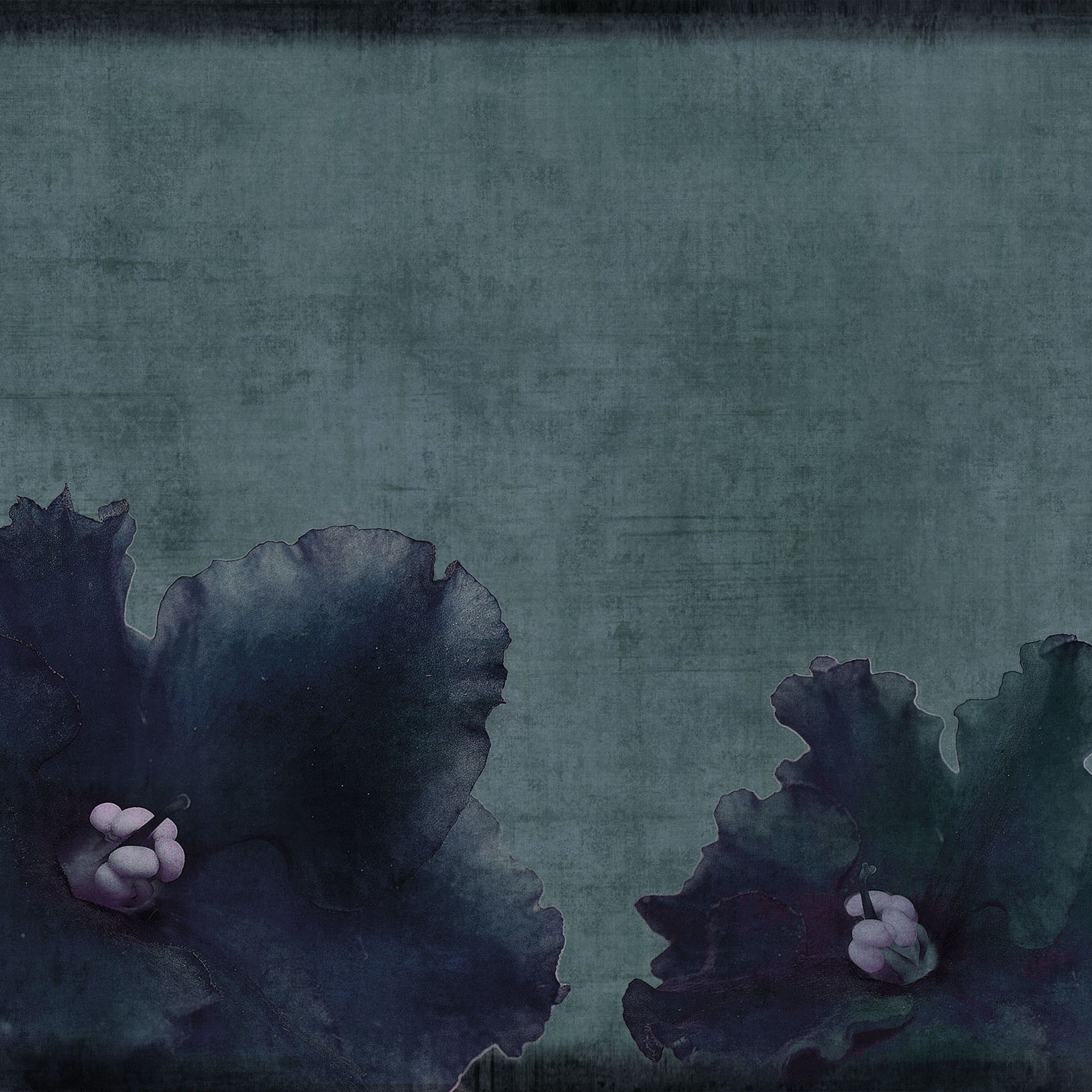 concrete | flora