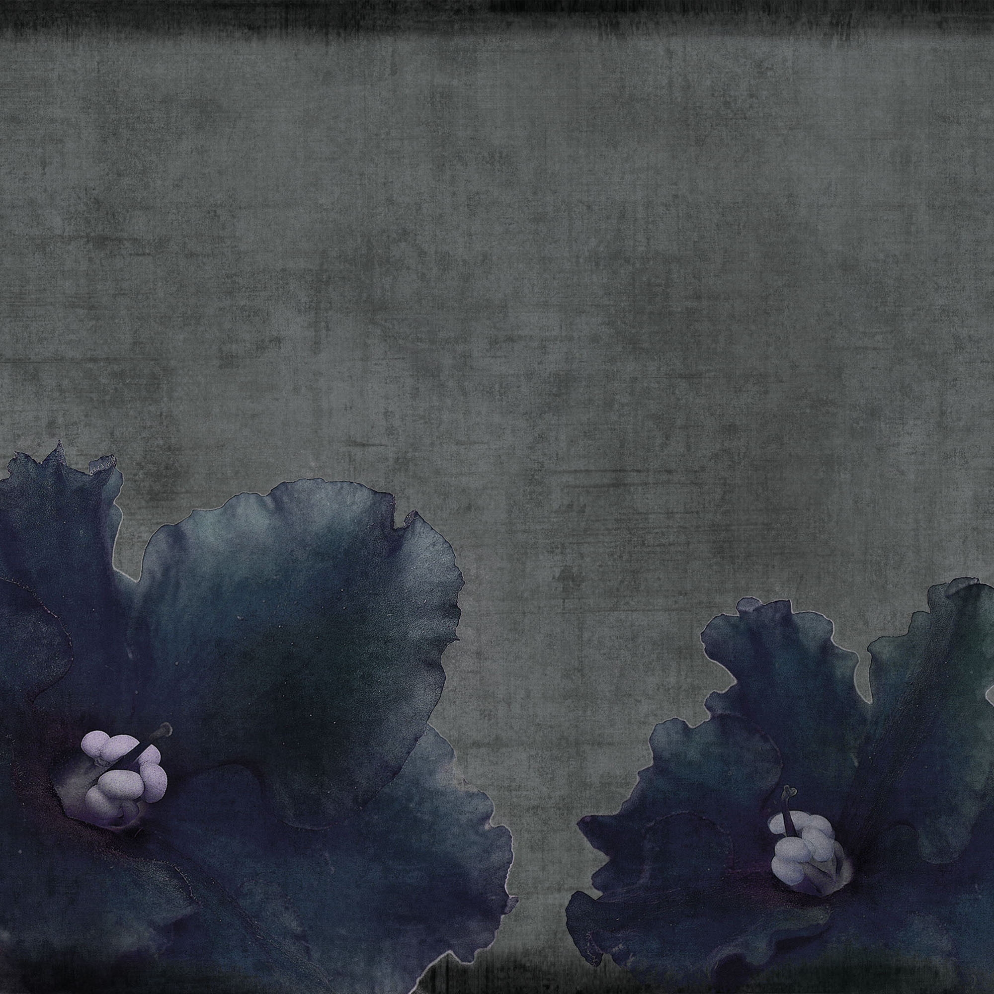 concrete | flora