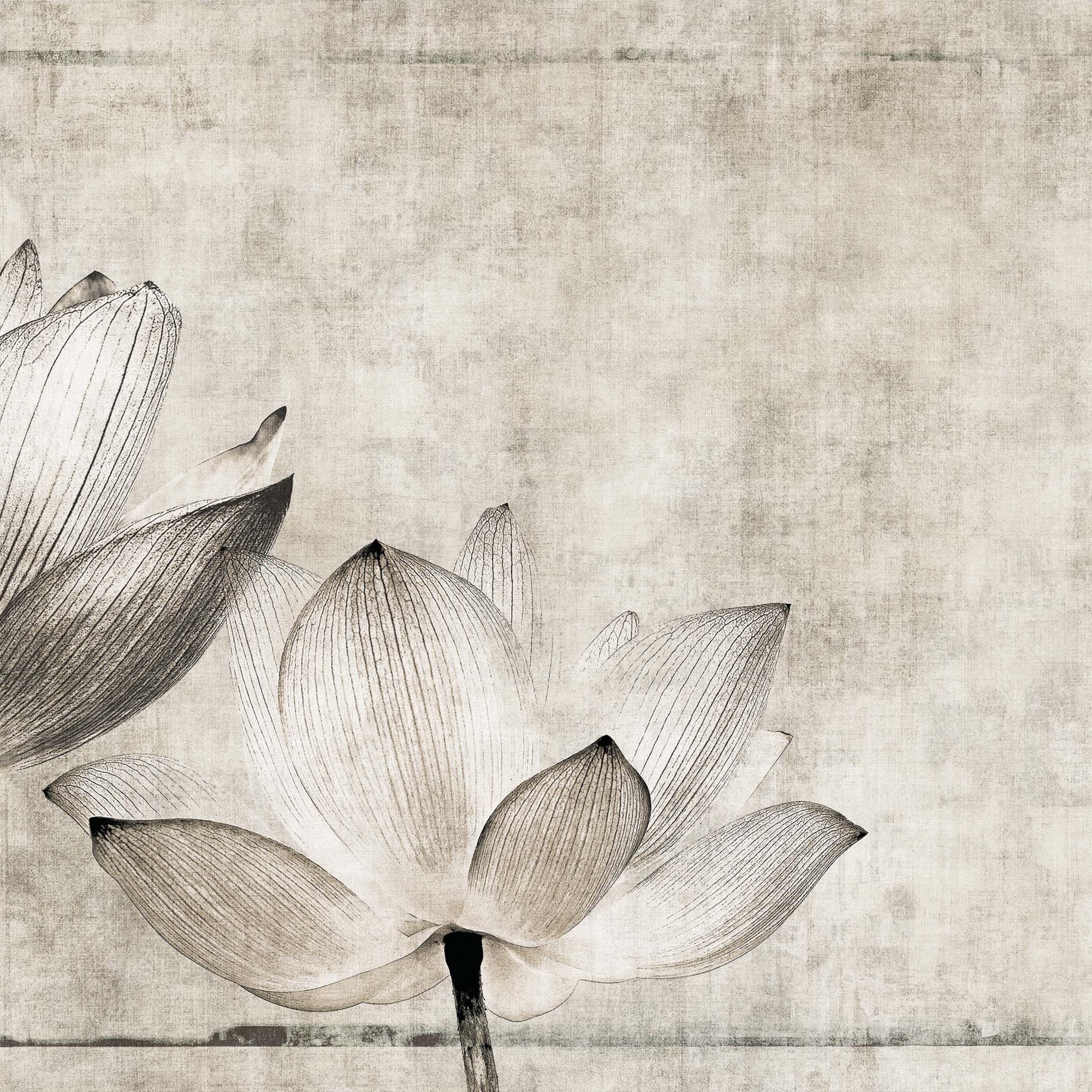 Afficher le produit canvas | lotus du fabricant N.O.W. Edizioni