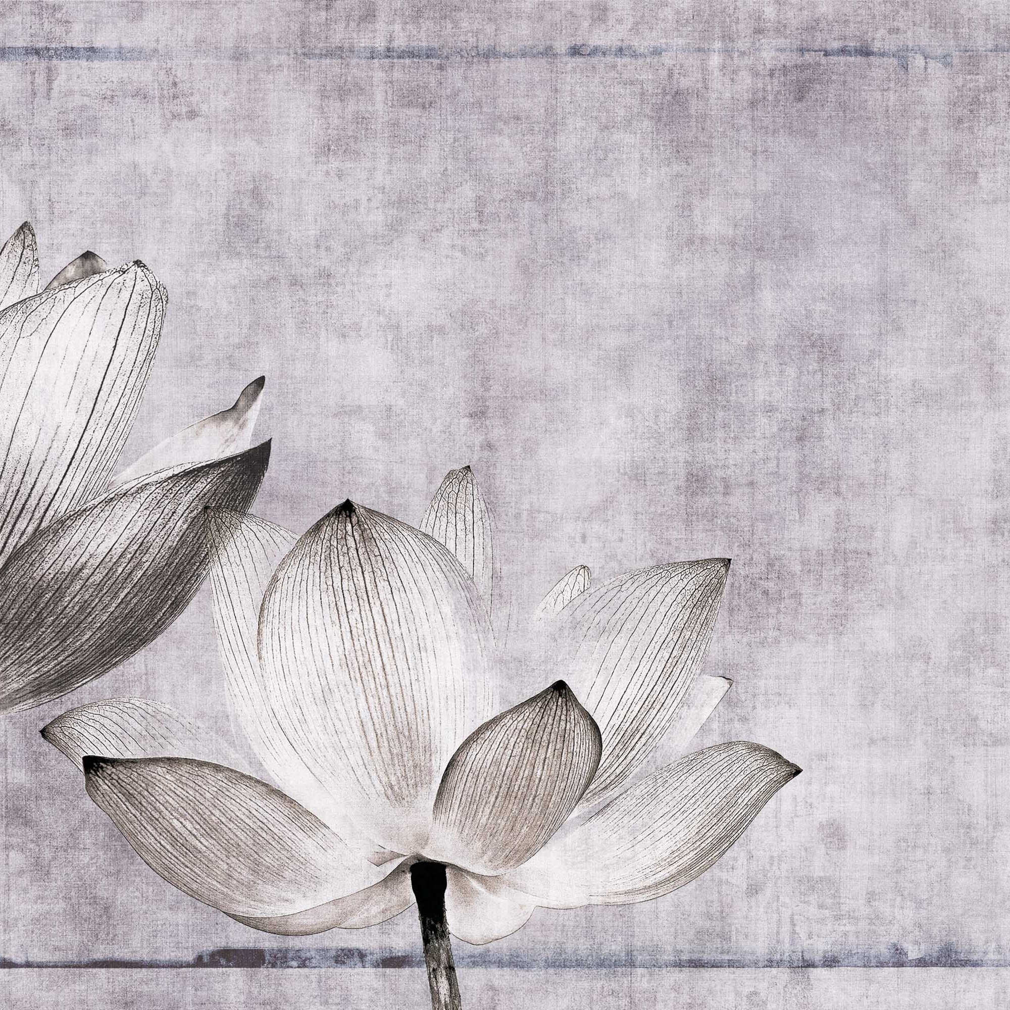 canvas | lotus