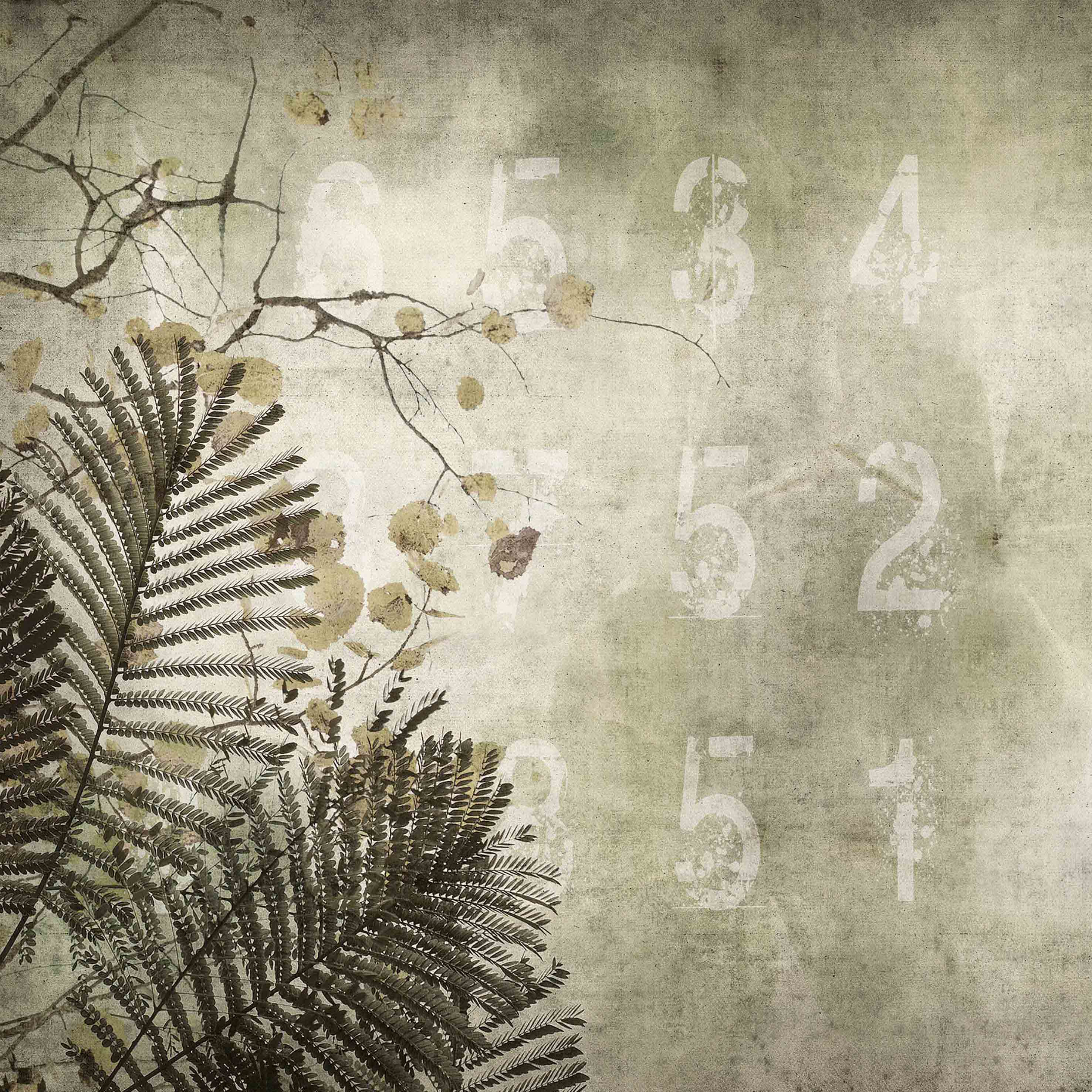concrete | acacia