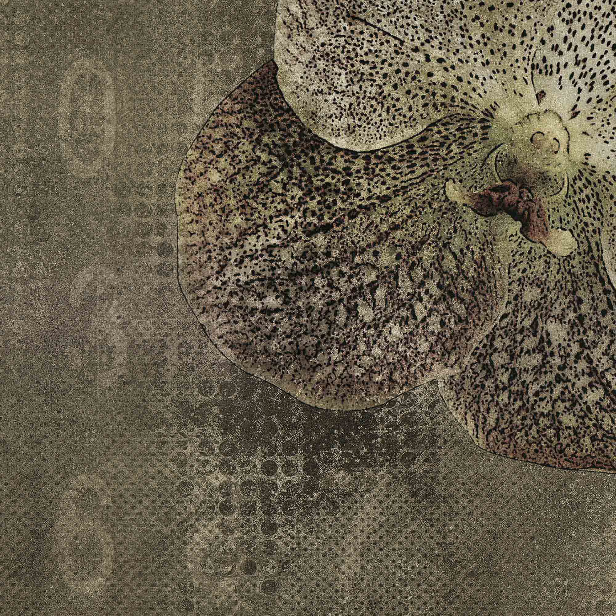 Produkt velvet | orchid des Herstellers N.O.W. Edizioni anzeigen