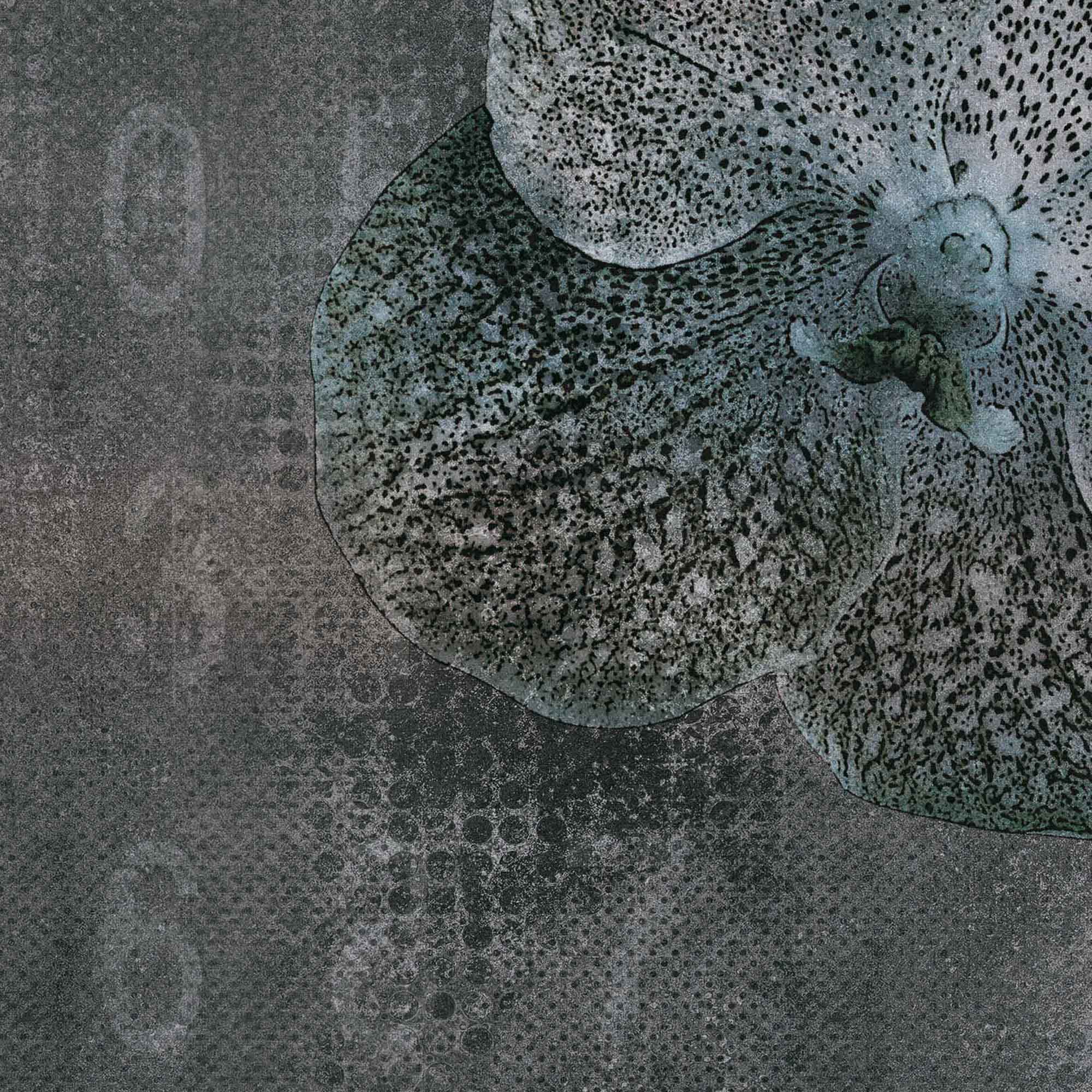 velvet | orchid