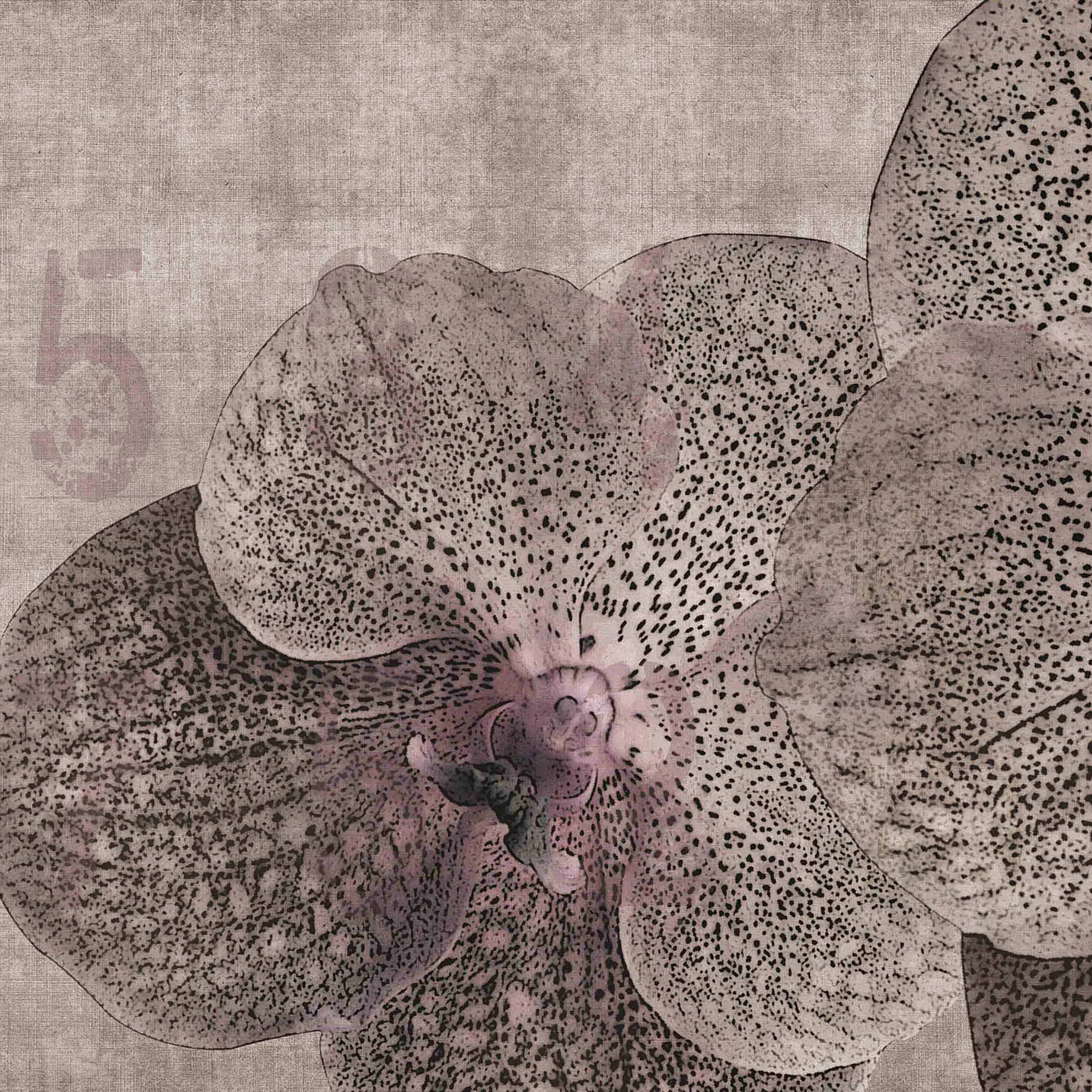 concrete | orchid
