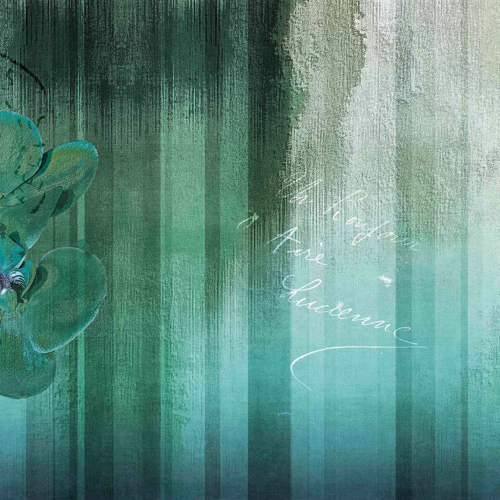 wallpaint | orchid