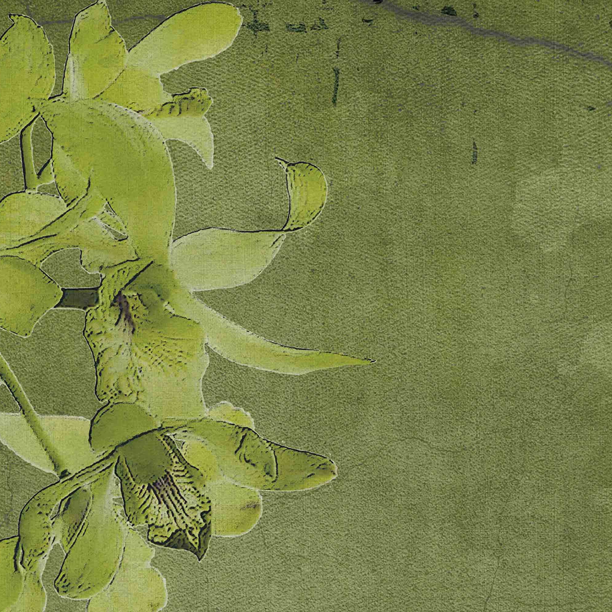 Mostra il prodotto canvas | evergreen del produttore N.O.W. Edizioni
