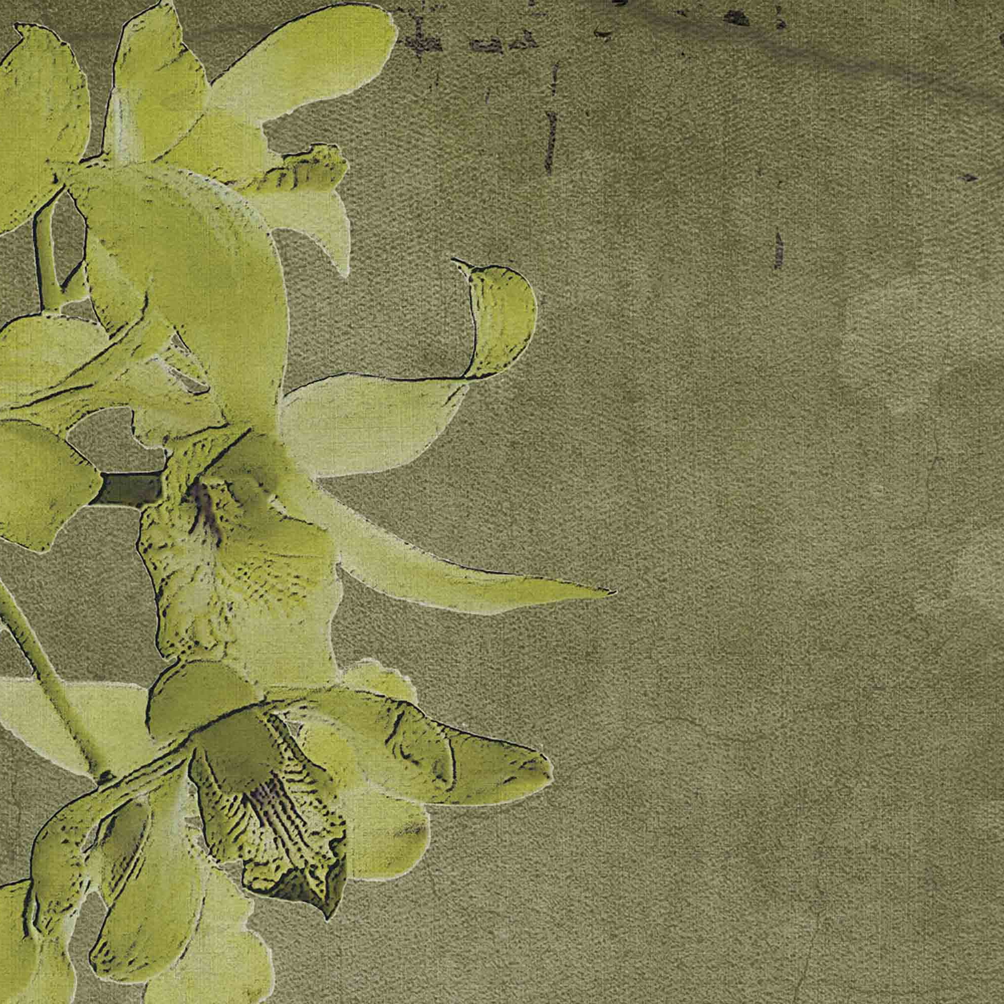 canvas | evergreen