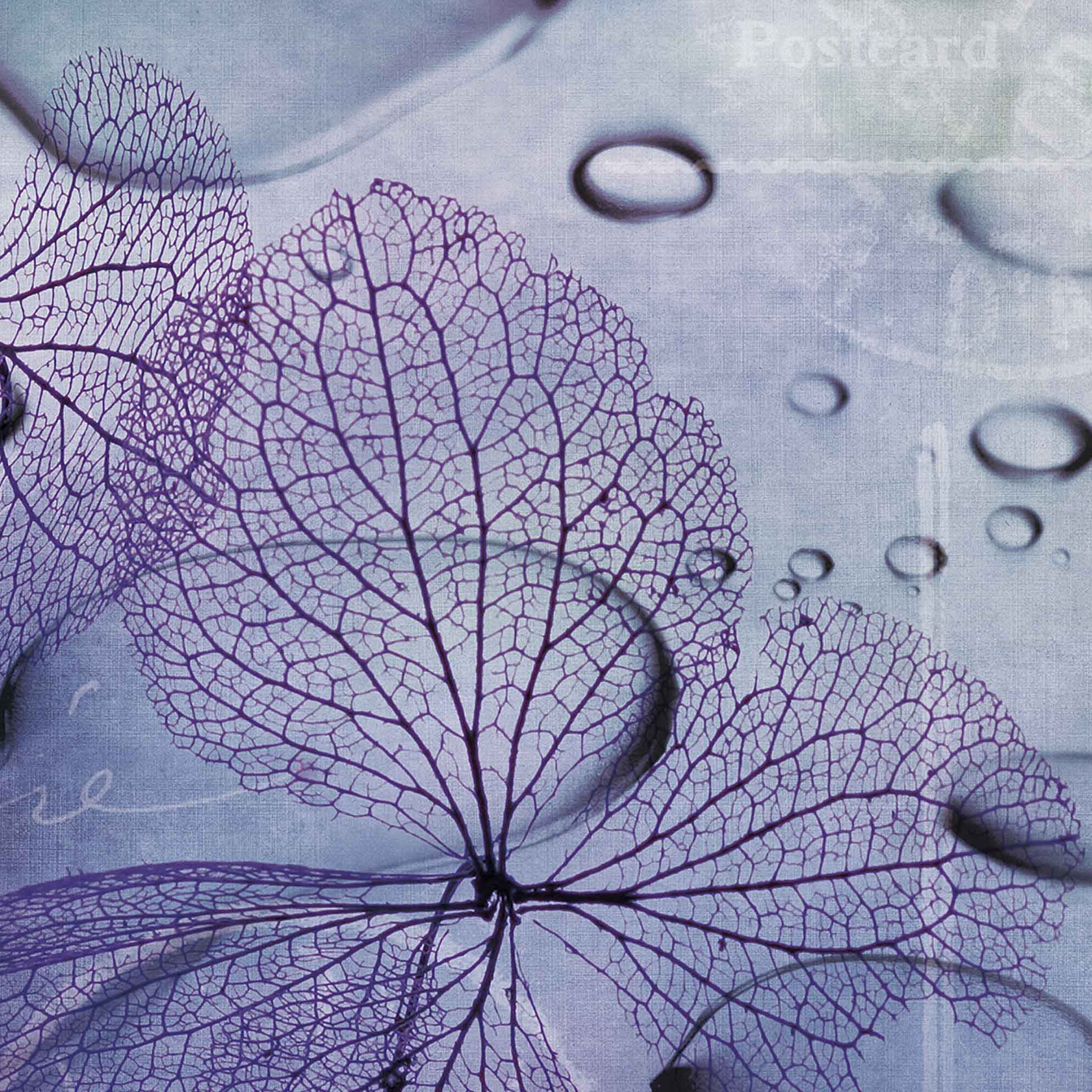 Produkt watercolor | water flowers des Herstellers N.O.W. Edizioni anzeigen