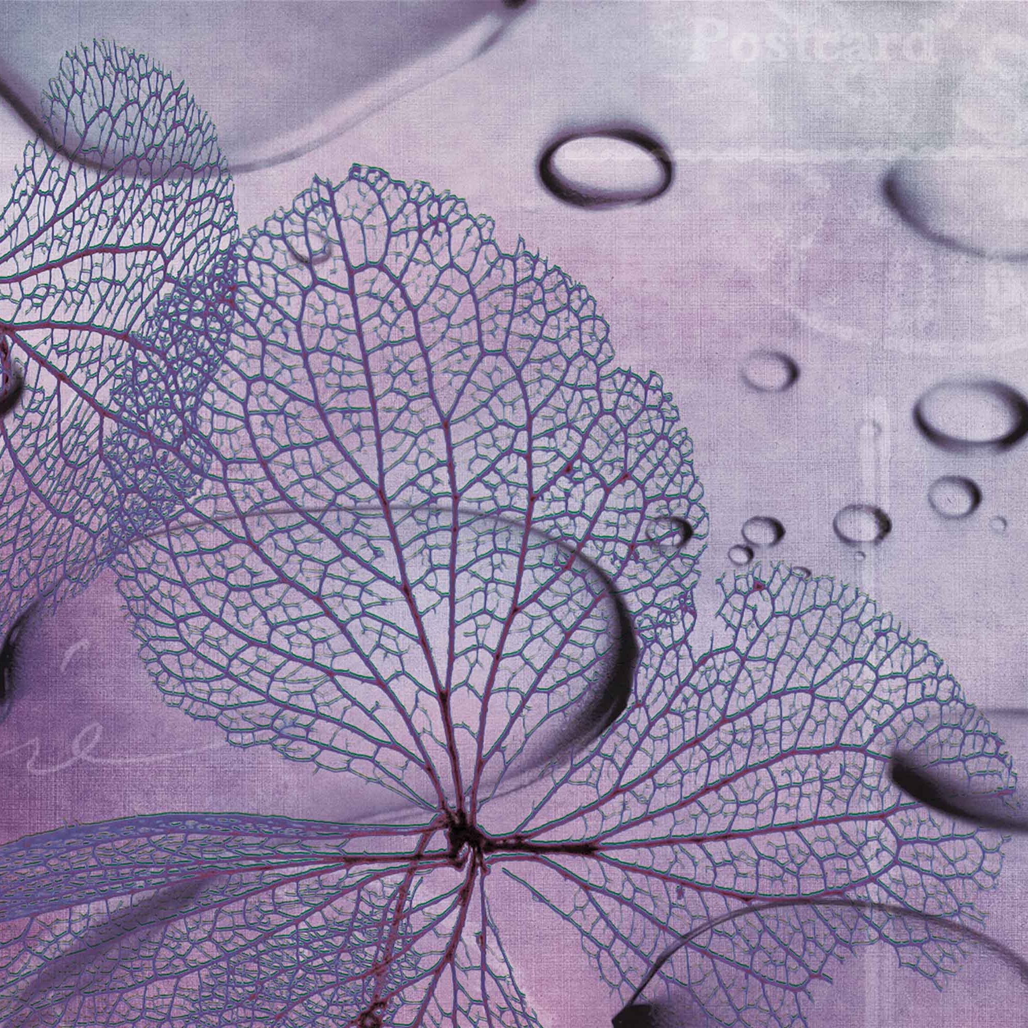 watercolor | water flowers