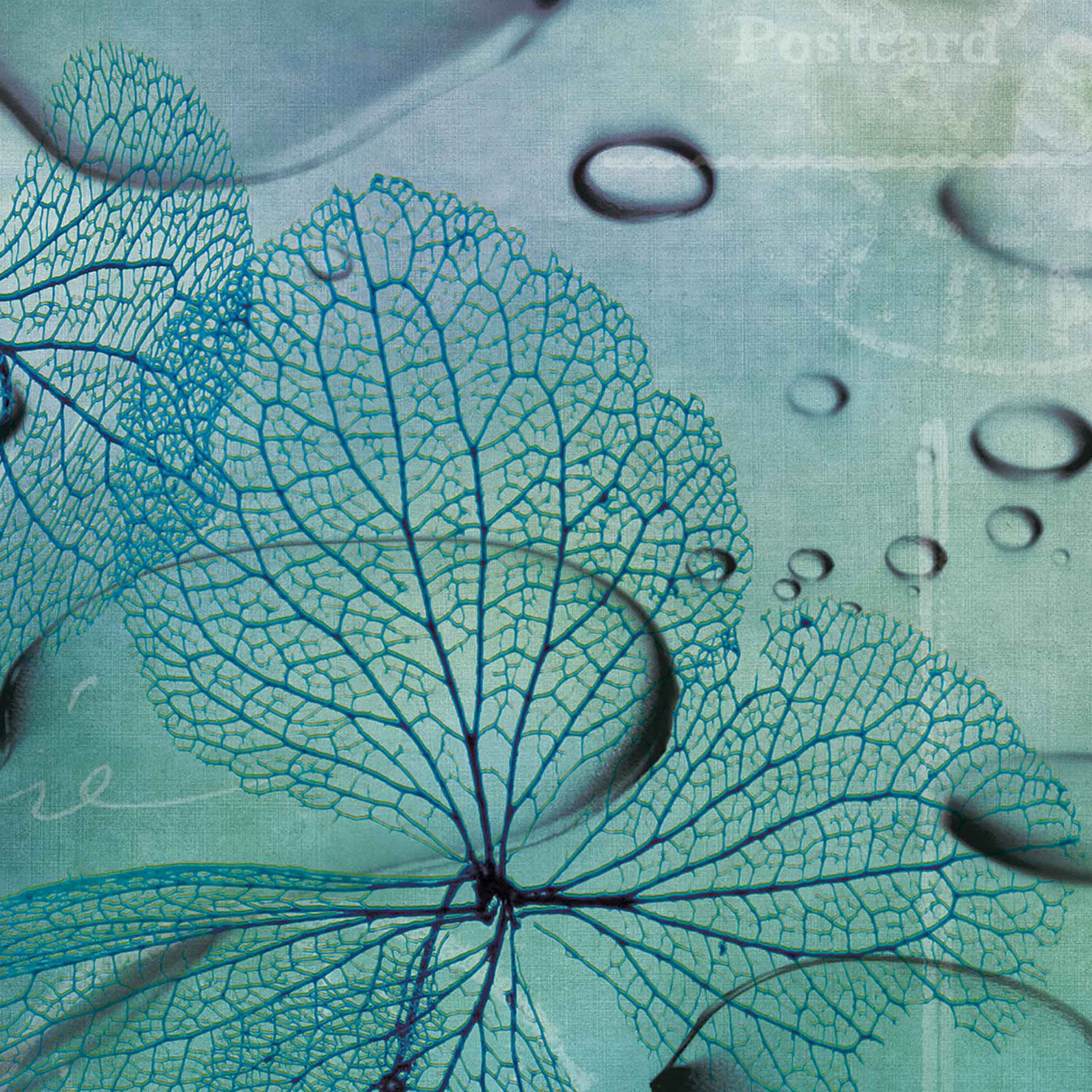 watercolor | water flowers