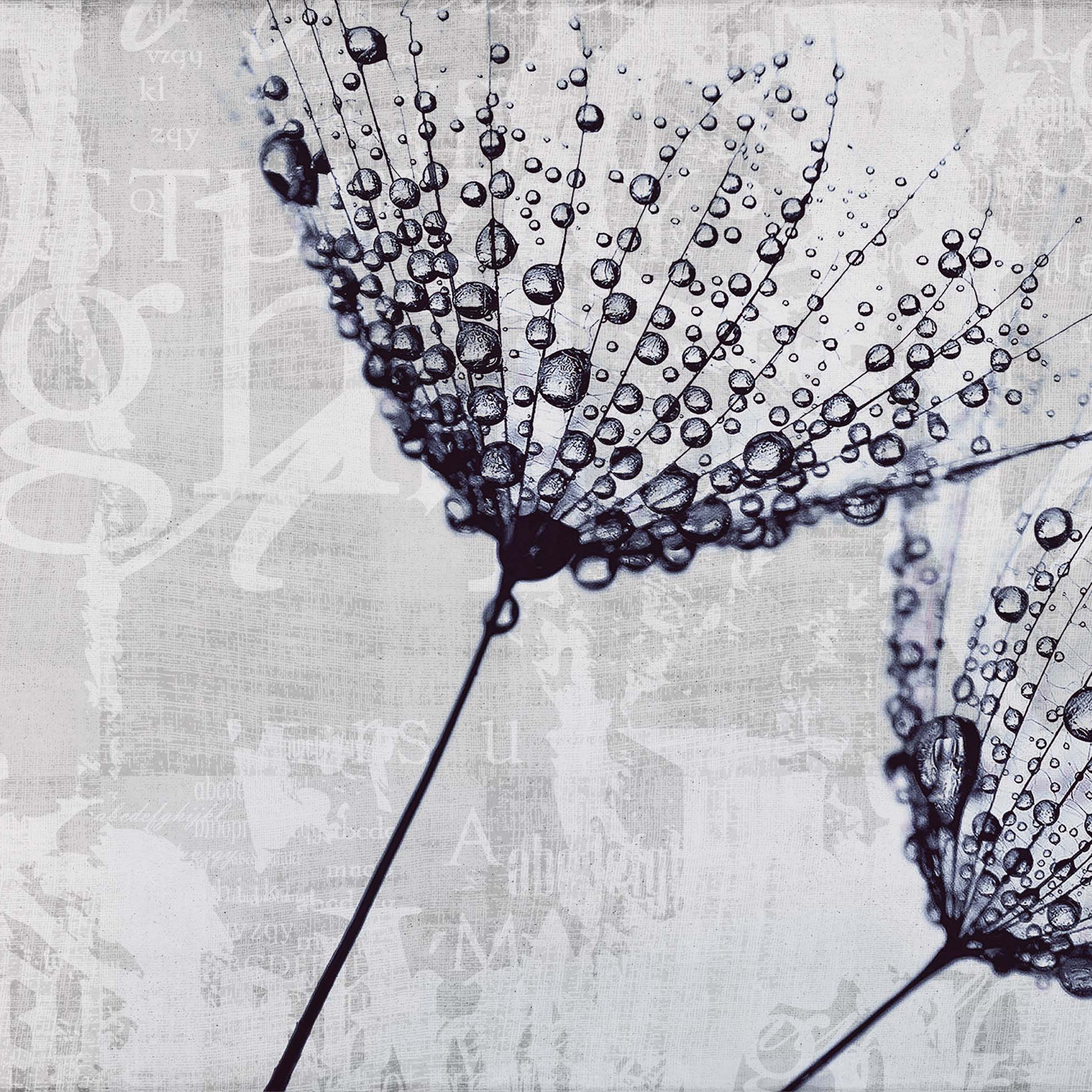 canvas | drop