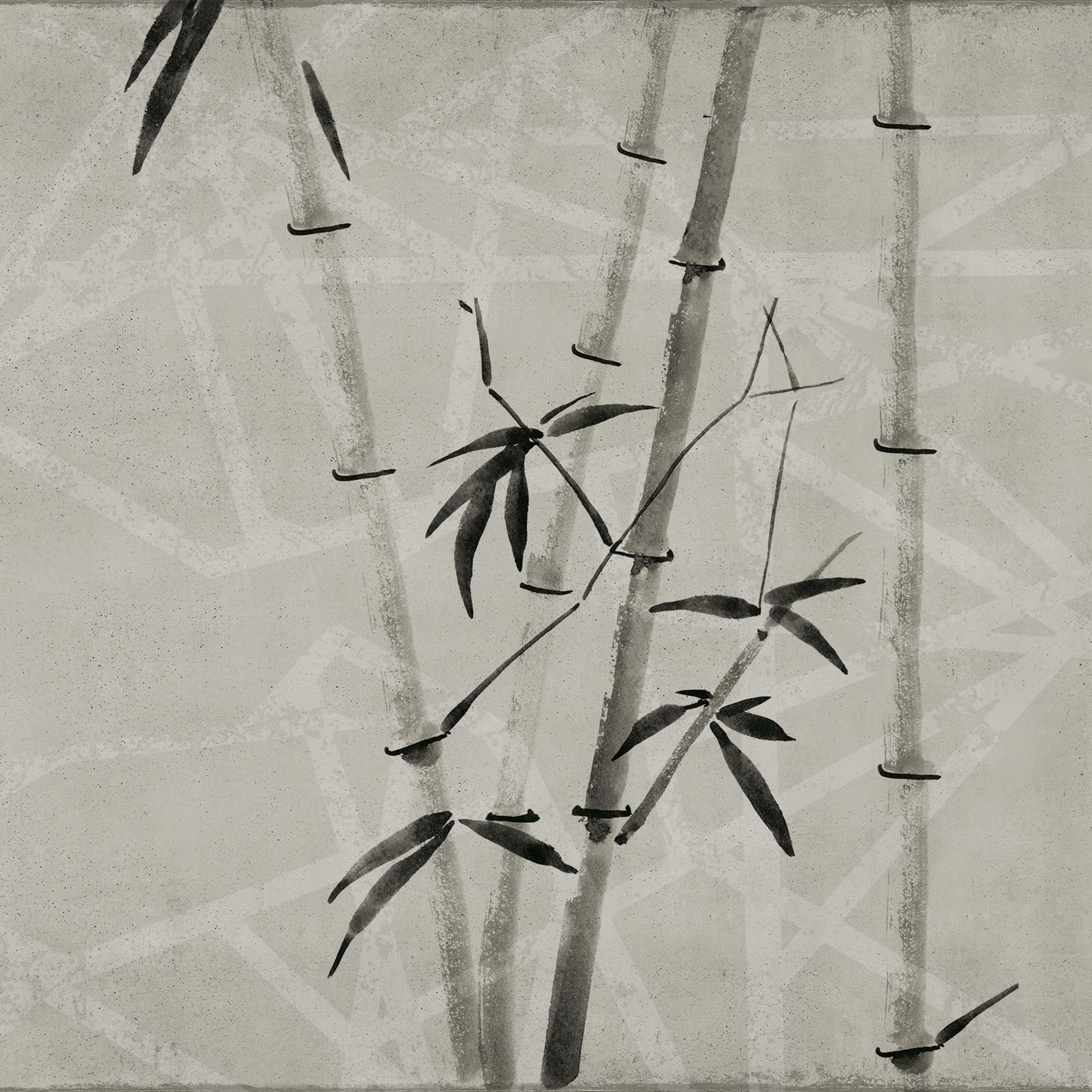 concrete | bamboo