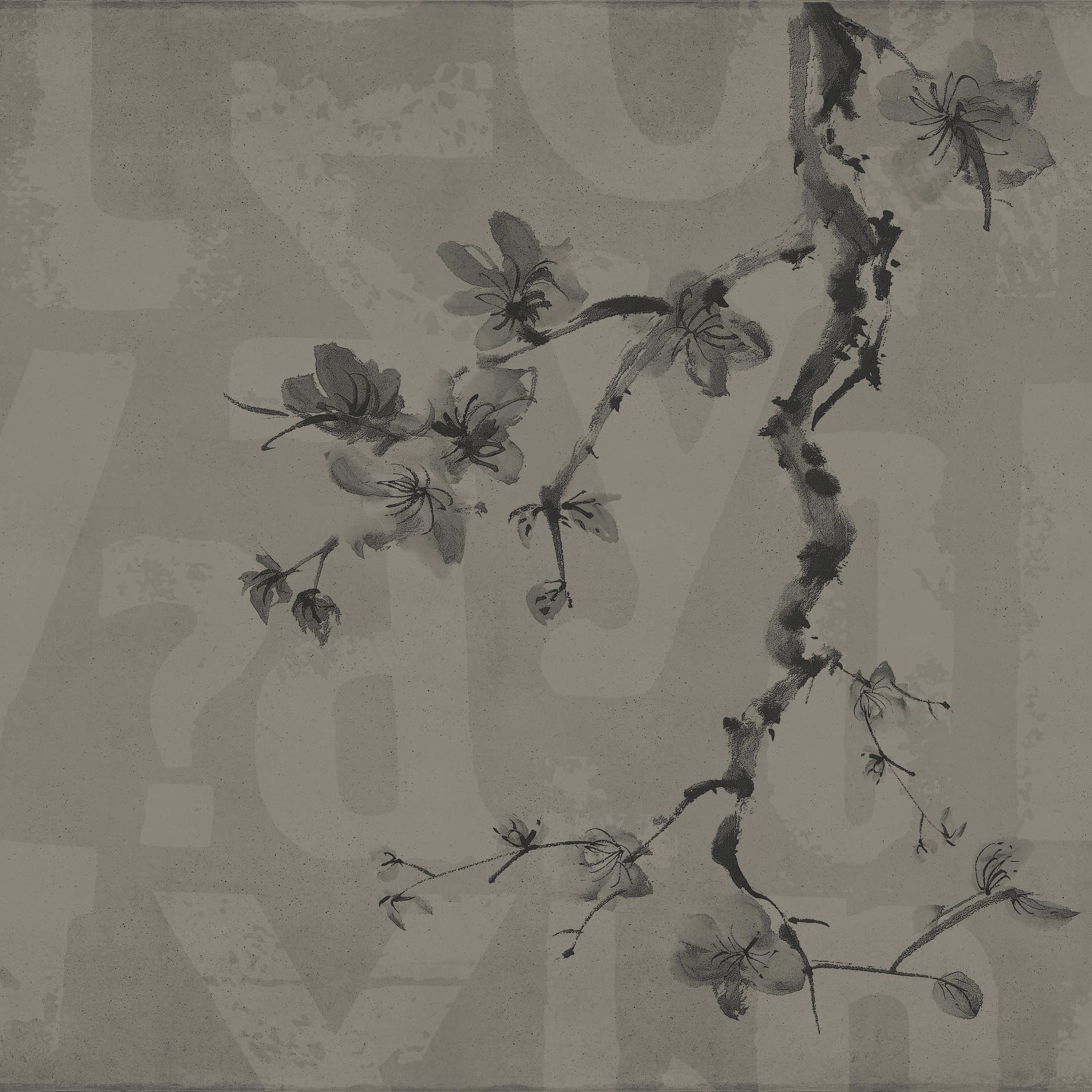 concrete | primavera