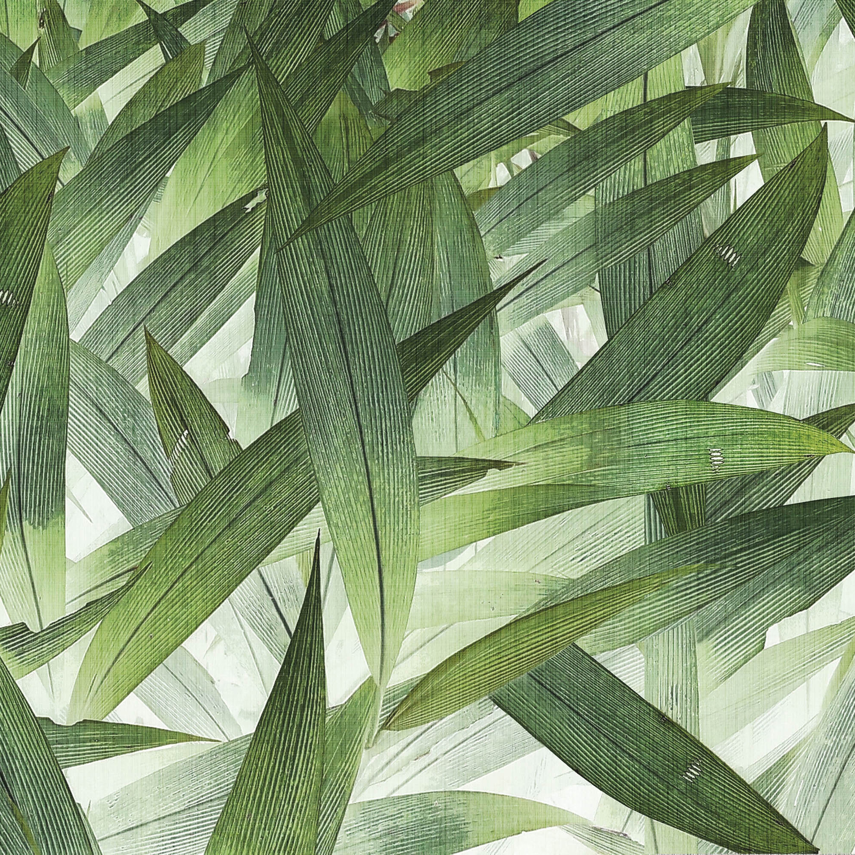 Mostra il prodotto jungle | foliage del produttore N.O.W. Edizioni
