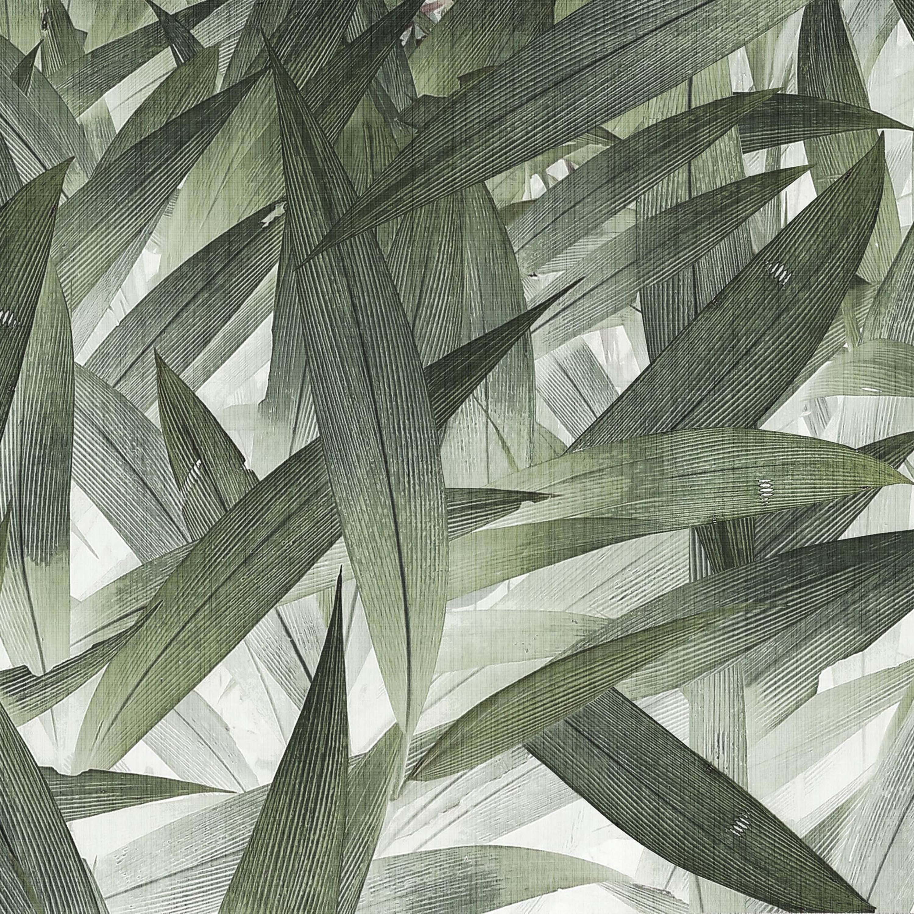 jungle | foliage
