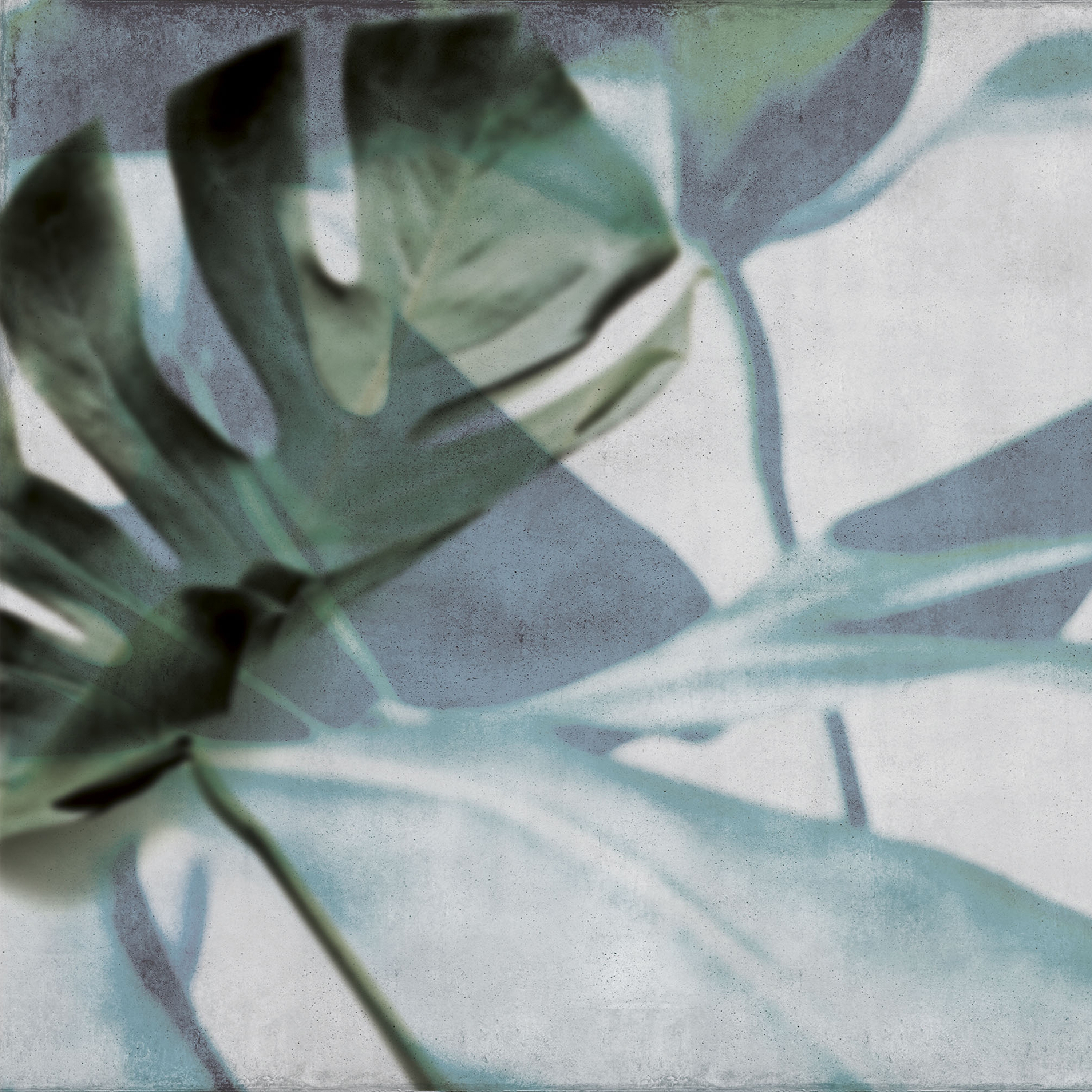 Produkt jungle | monstera des Herstellers N.O.W. Edizioni anzeigen