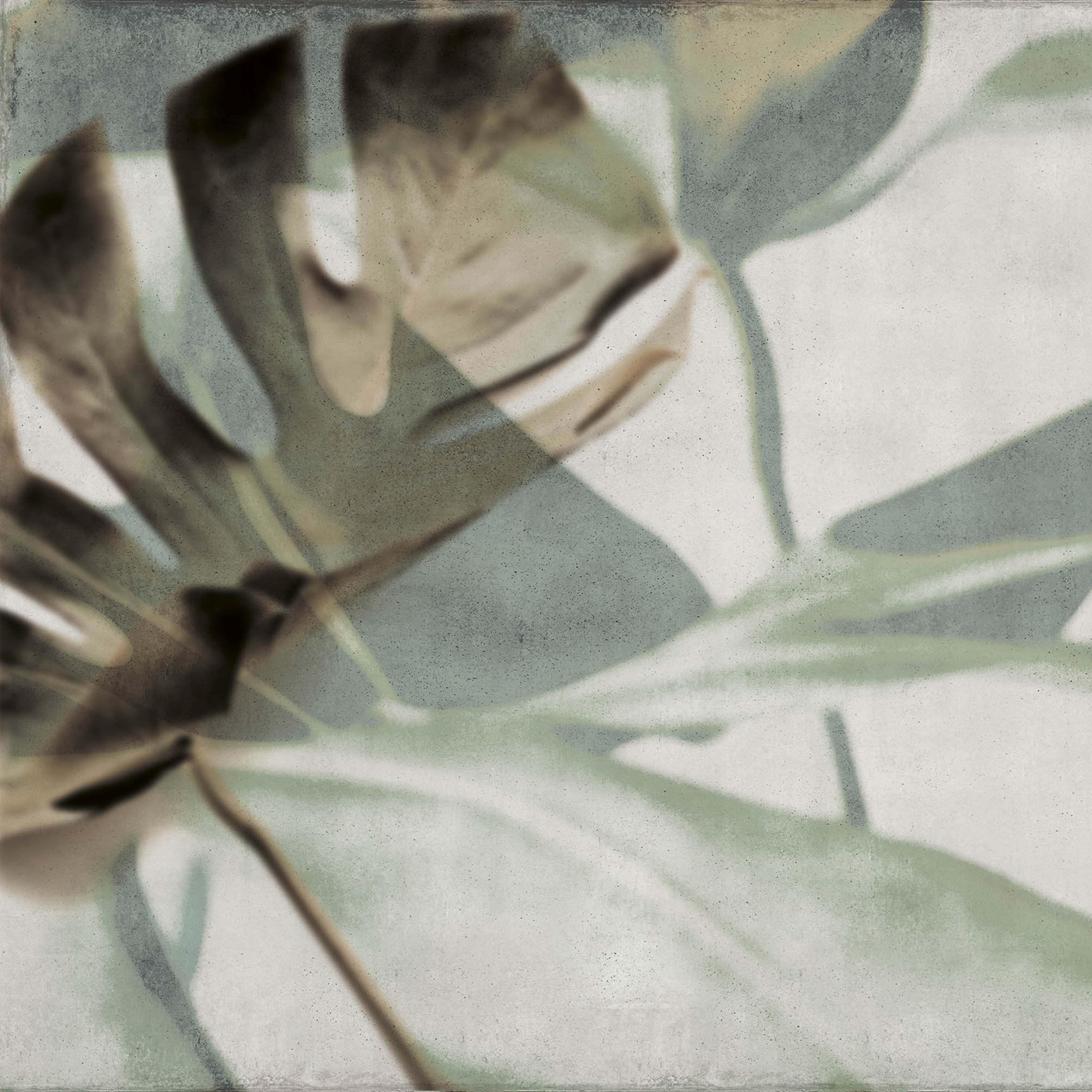 jungle | monstera