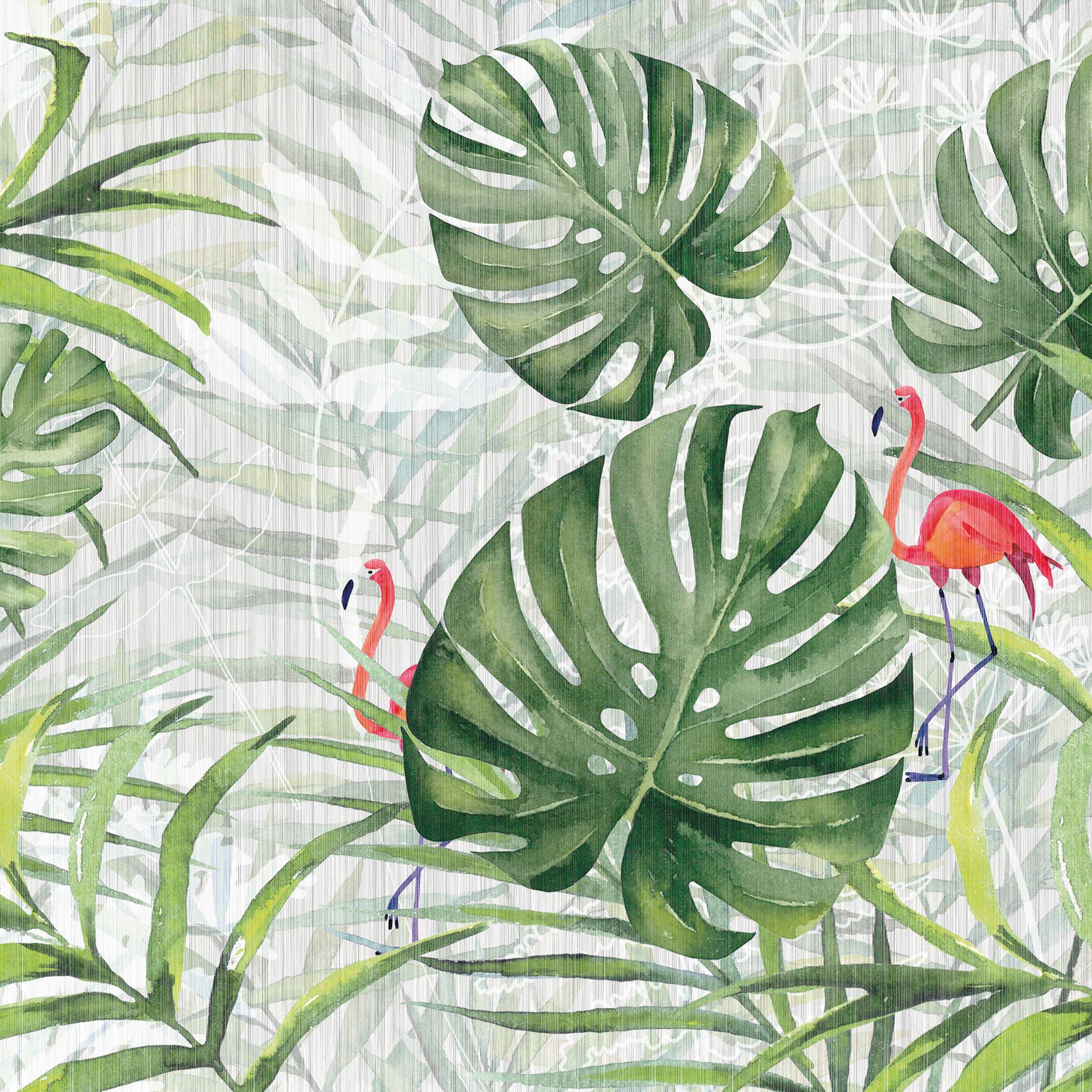 jungle | tropicalia