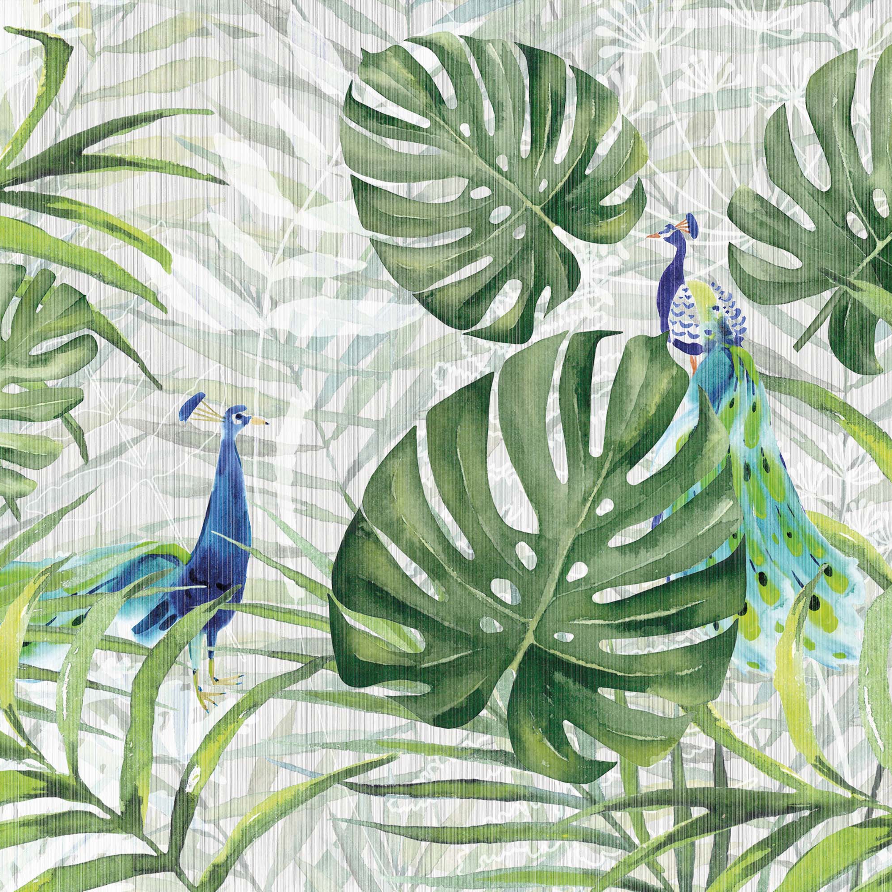 jungle | tropicalia